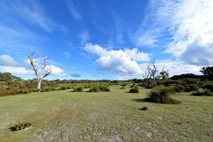 Nannup WA 6275, Nannup - Thumbnail 6