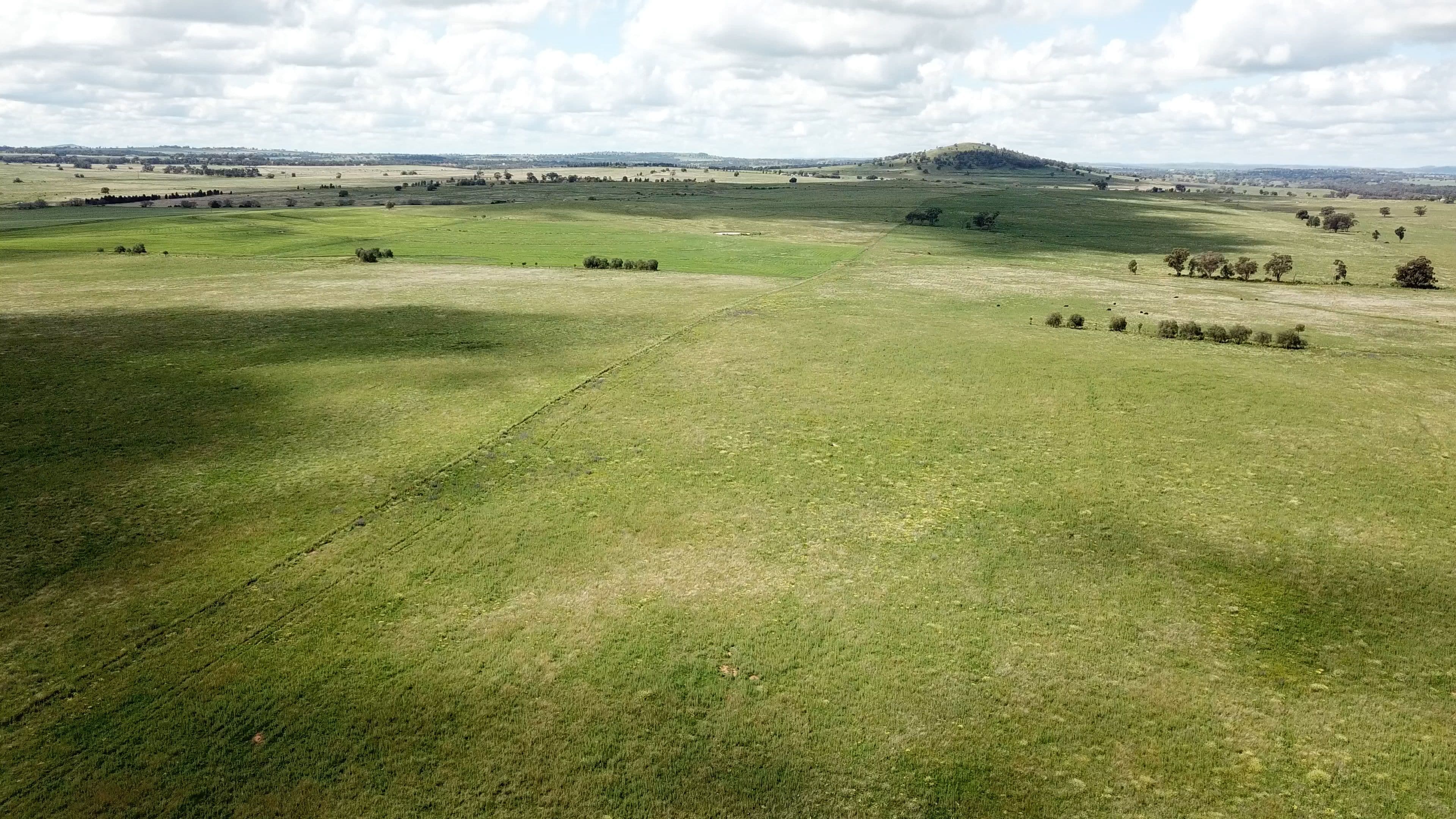'West Waugoola' Old Dubbo Road, Geurie NSW 2818, Geurie - Image 1