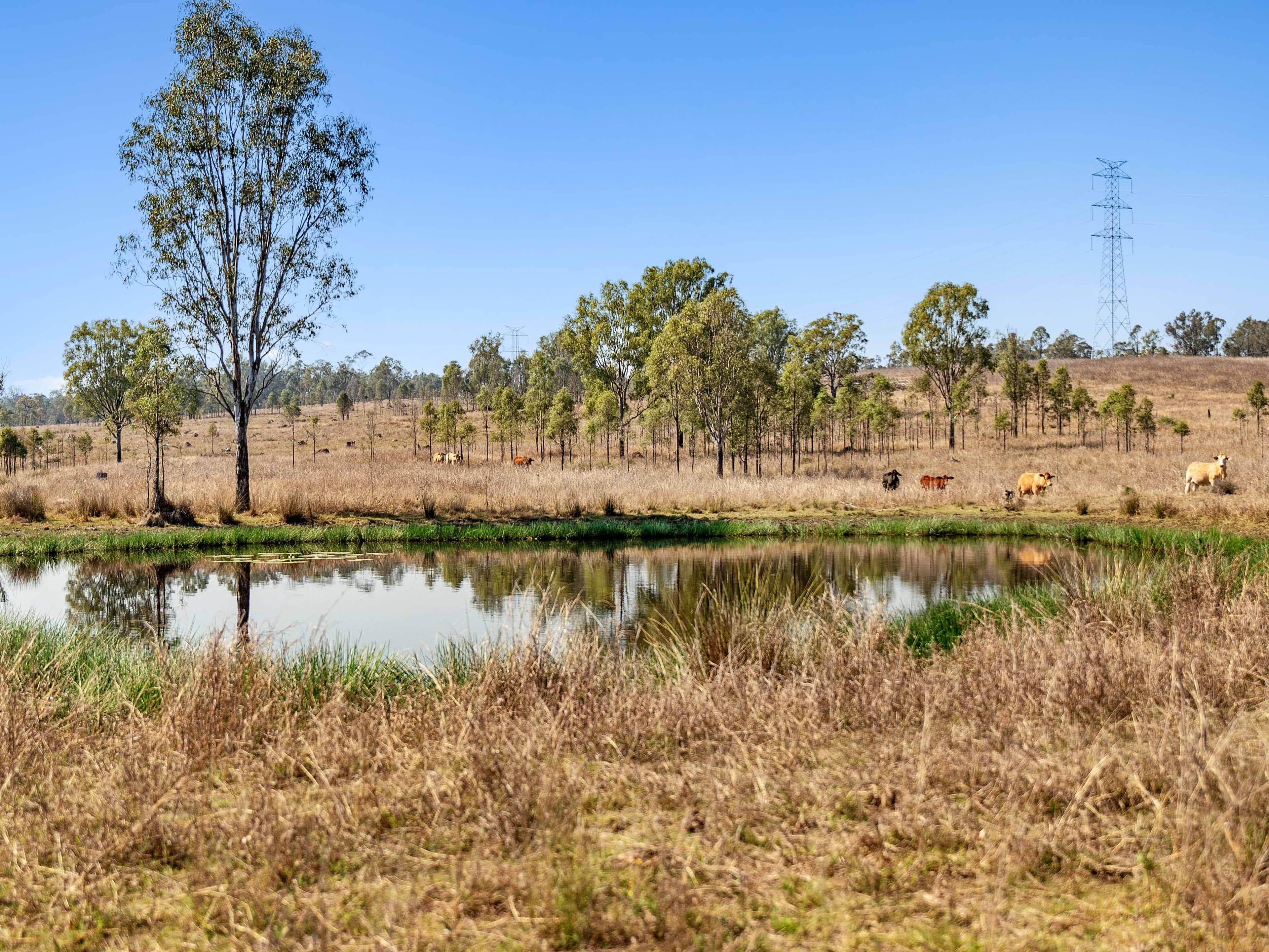 Unnamed Road, Mount Forbes QLD 4340, Mount Forbes - Thumbnail 5