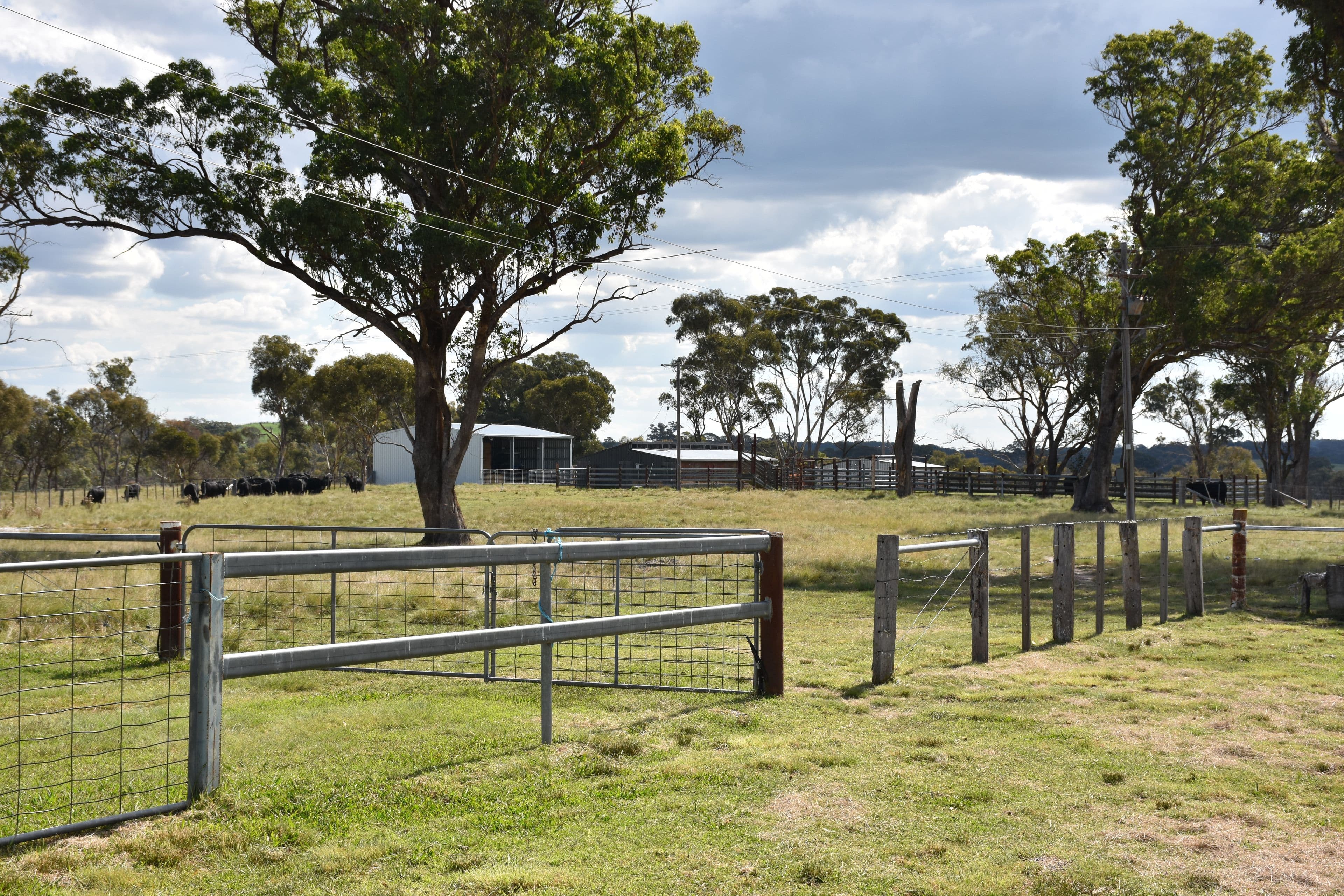 757 New England Highway, Glen Innes NSW 2370, Glen Innes - Thumbnail 3