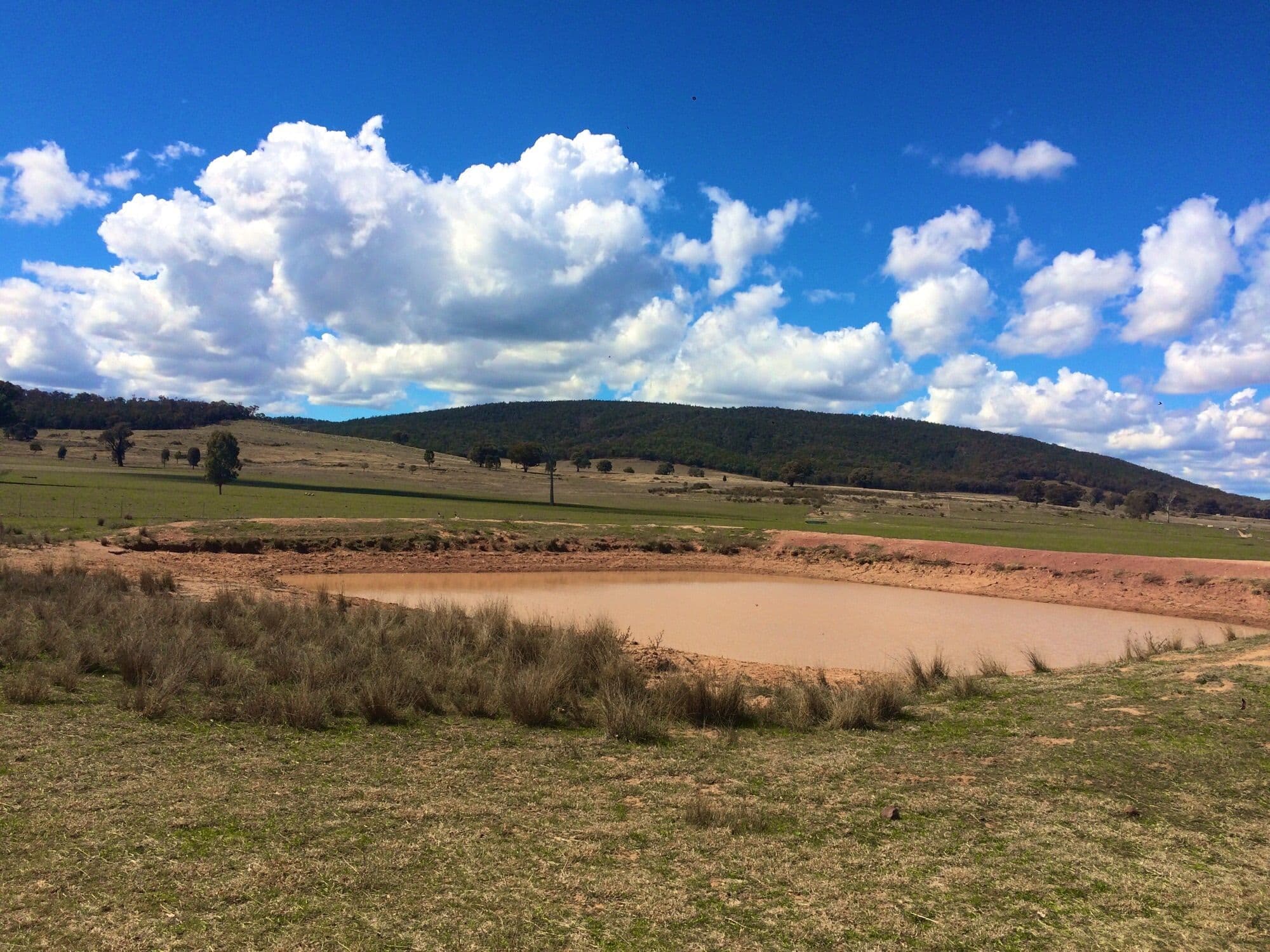 Lot 2 Fragar Road, Cowra NSW 2794, Cowra - Thumbnail 8