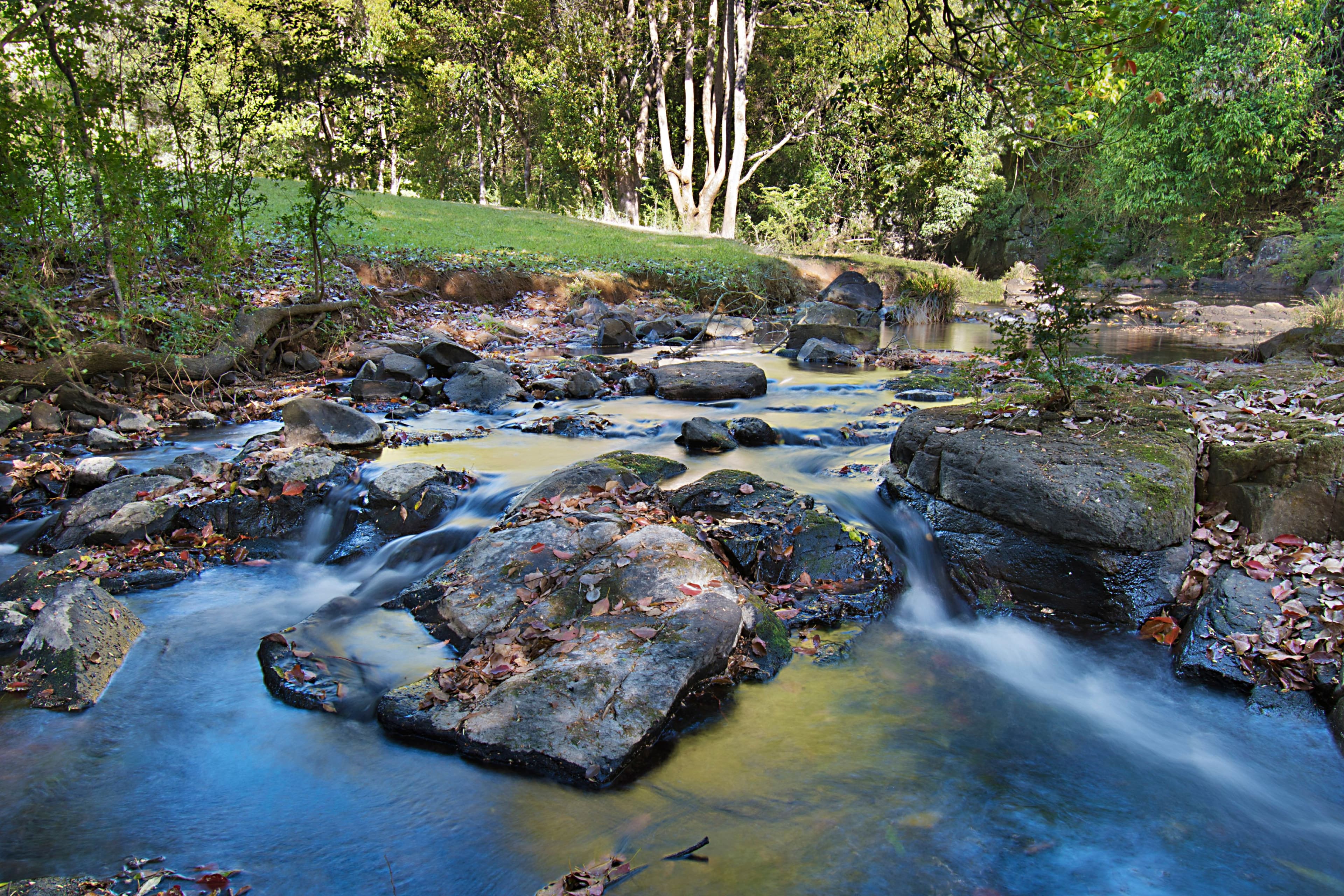 184 Possum Creek Road, Possum Creek NSW 2479, Possum Creek - Image 1