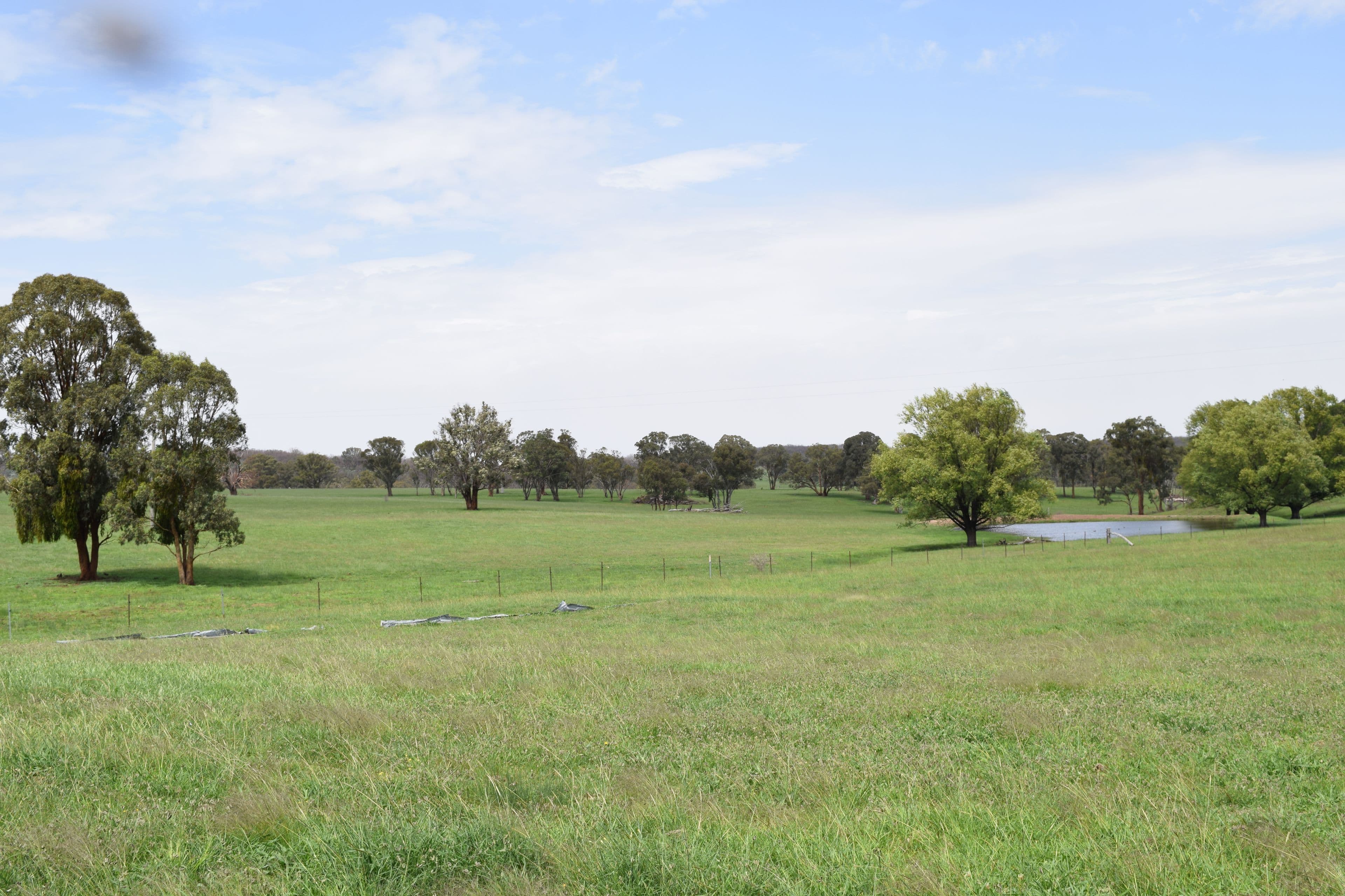 1071 Briarbrook Road, Guyra NSW 2365, Guyra - Thumbnail 2