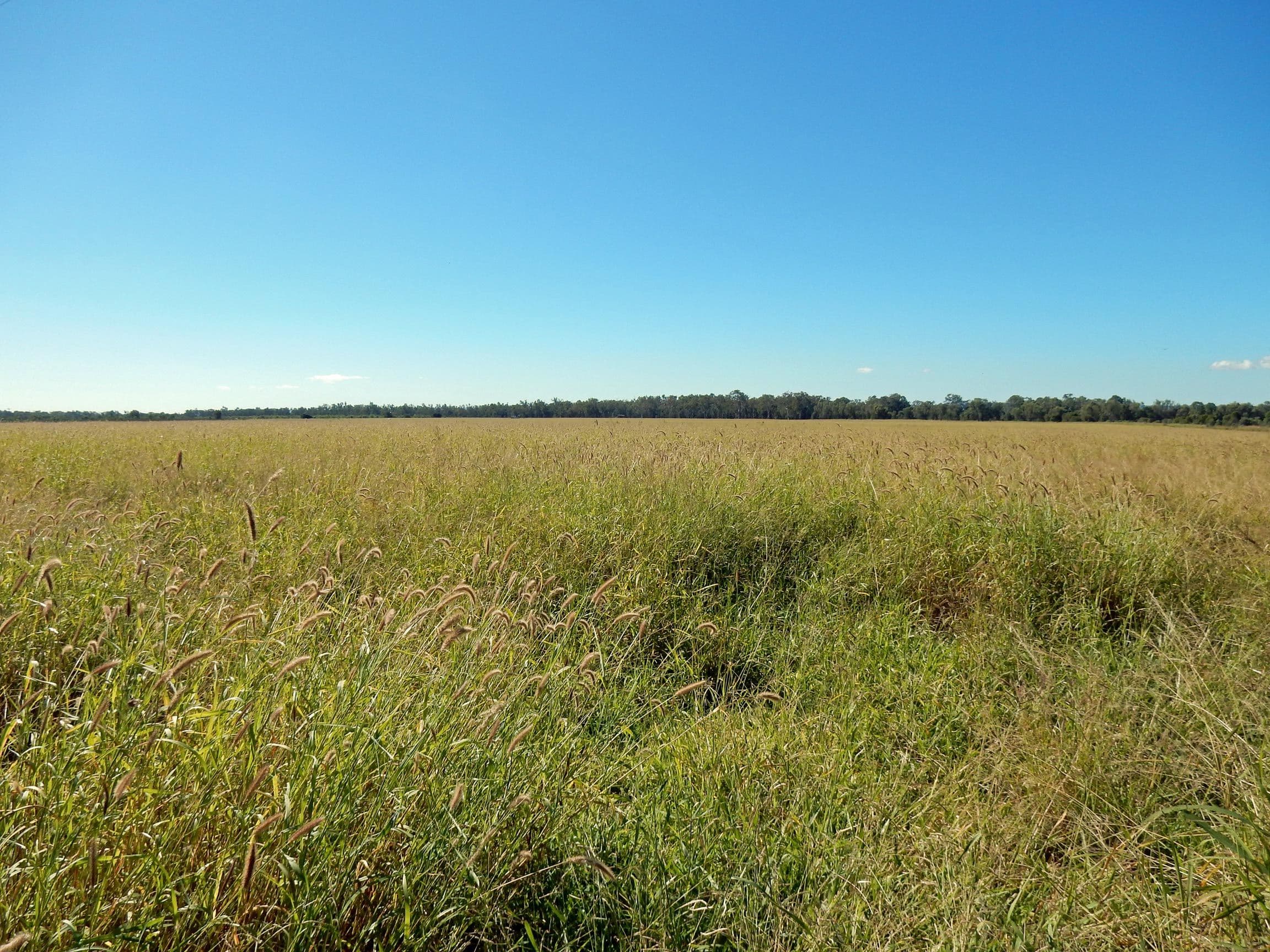 Goovigen QLD 4702, Goovigen - Thumbnail 2