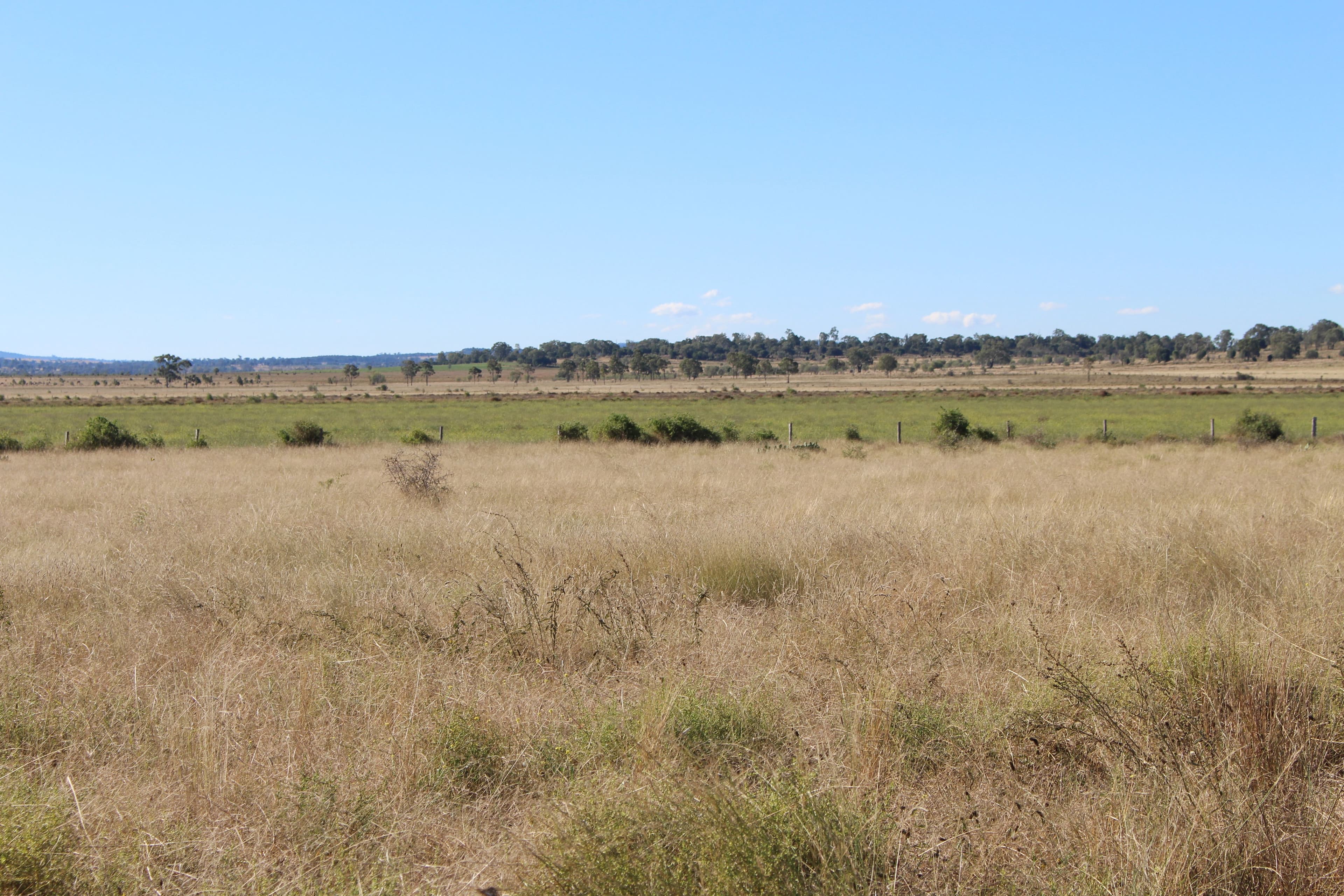 3808 Pechey Maclagan Road, Brymaroo QLD 4403, Brymaroo - Thumbnail 4