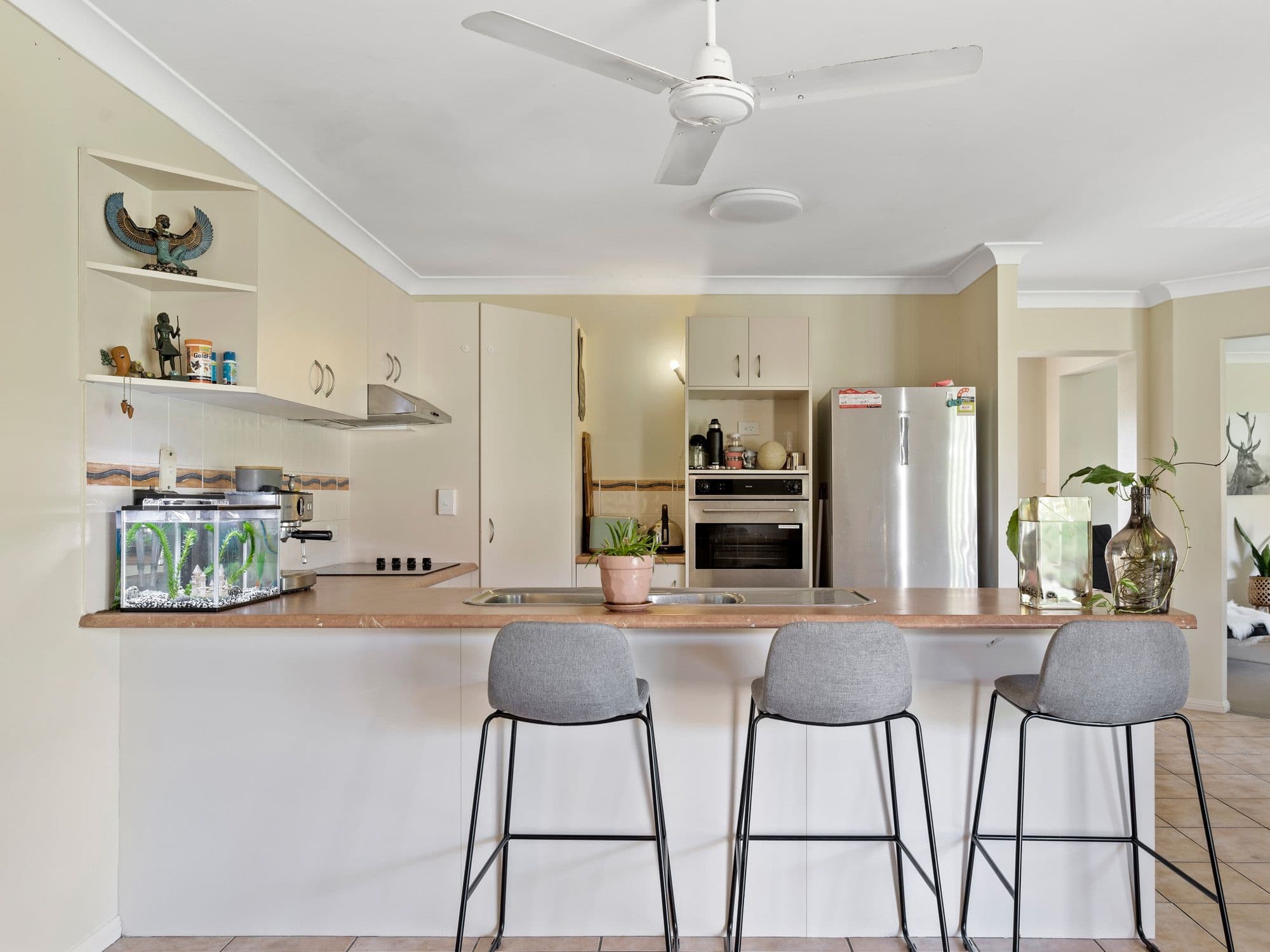 7 Orion Court, Molendinar QLD 4214, Molendinar - Thumbnail 3