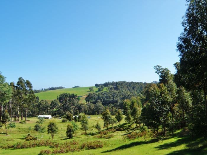 Nannup WA 6275, Nannup - Thumbnail 2