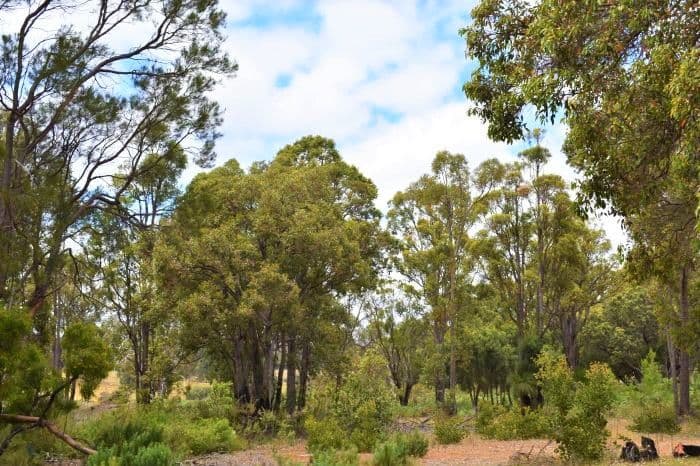 Nannup WA 6275, Nannup - Thumbnail 7