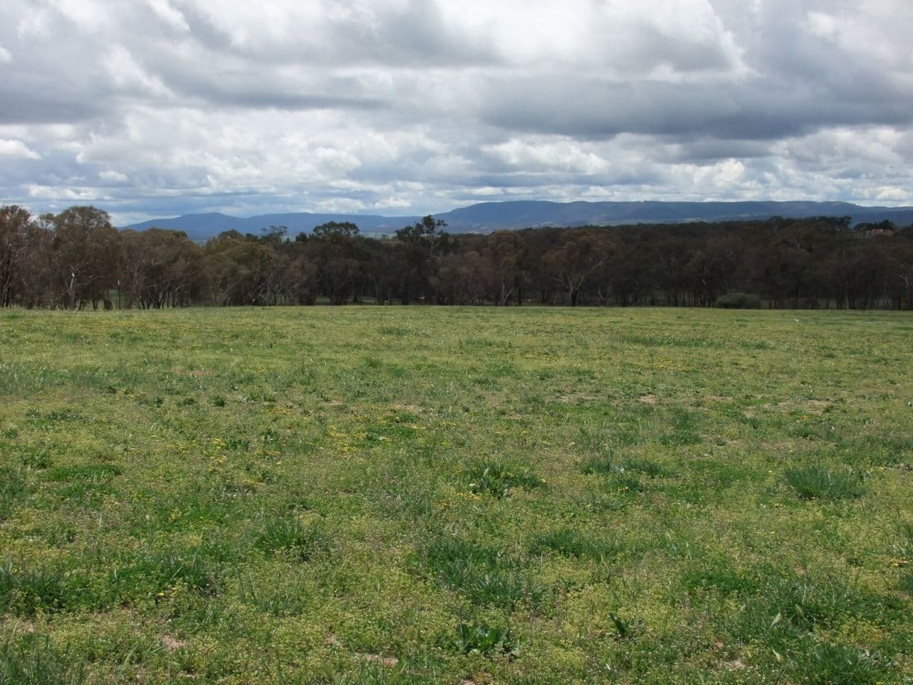 714 O'connell Plains Road, The Lagoon NSW 2795, The Lagoon - Thumbnail 4