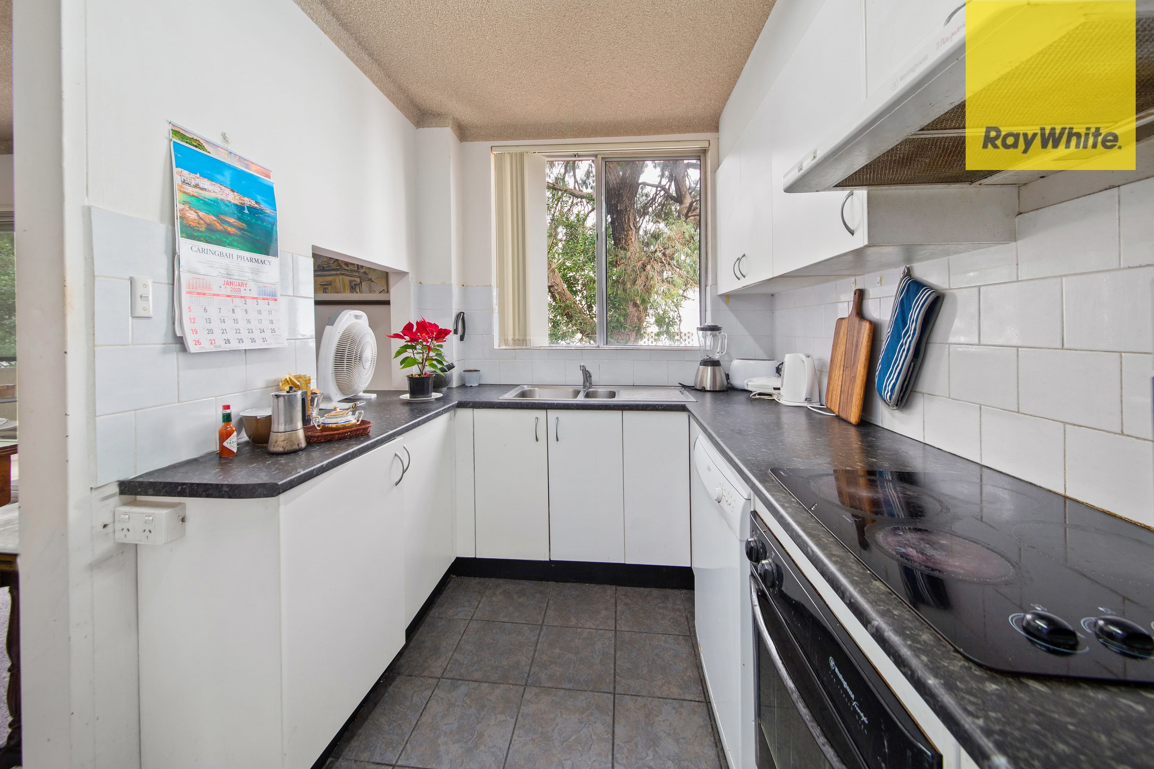 165 Willarong Road, Caringbah NSW 2229, Caringbah - Thumbnail 3