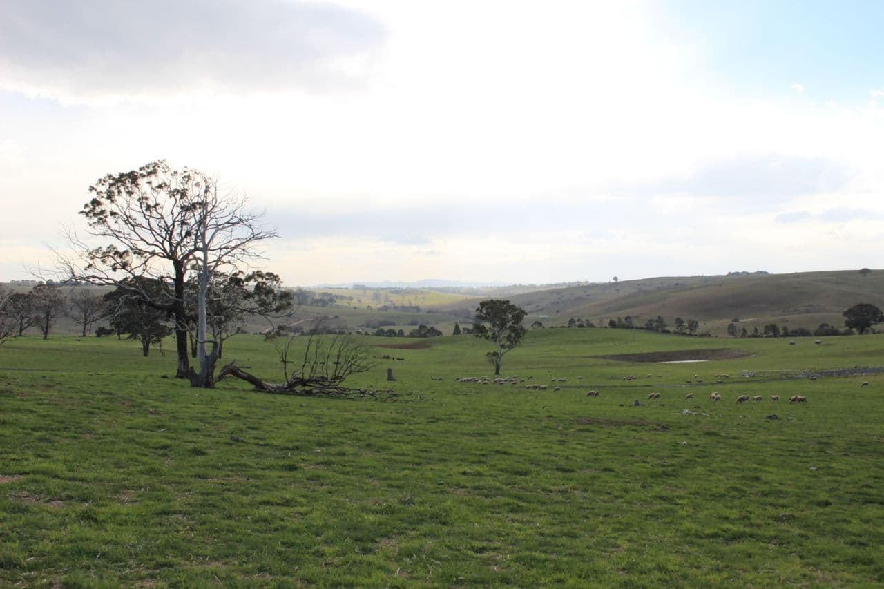 67 Pittman Drive, Browns Creek NSW 2799, Browns Creek - Image 1