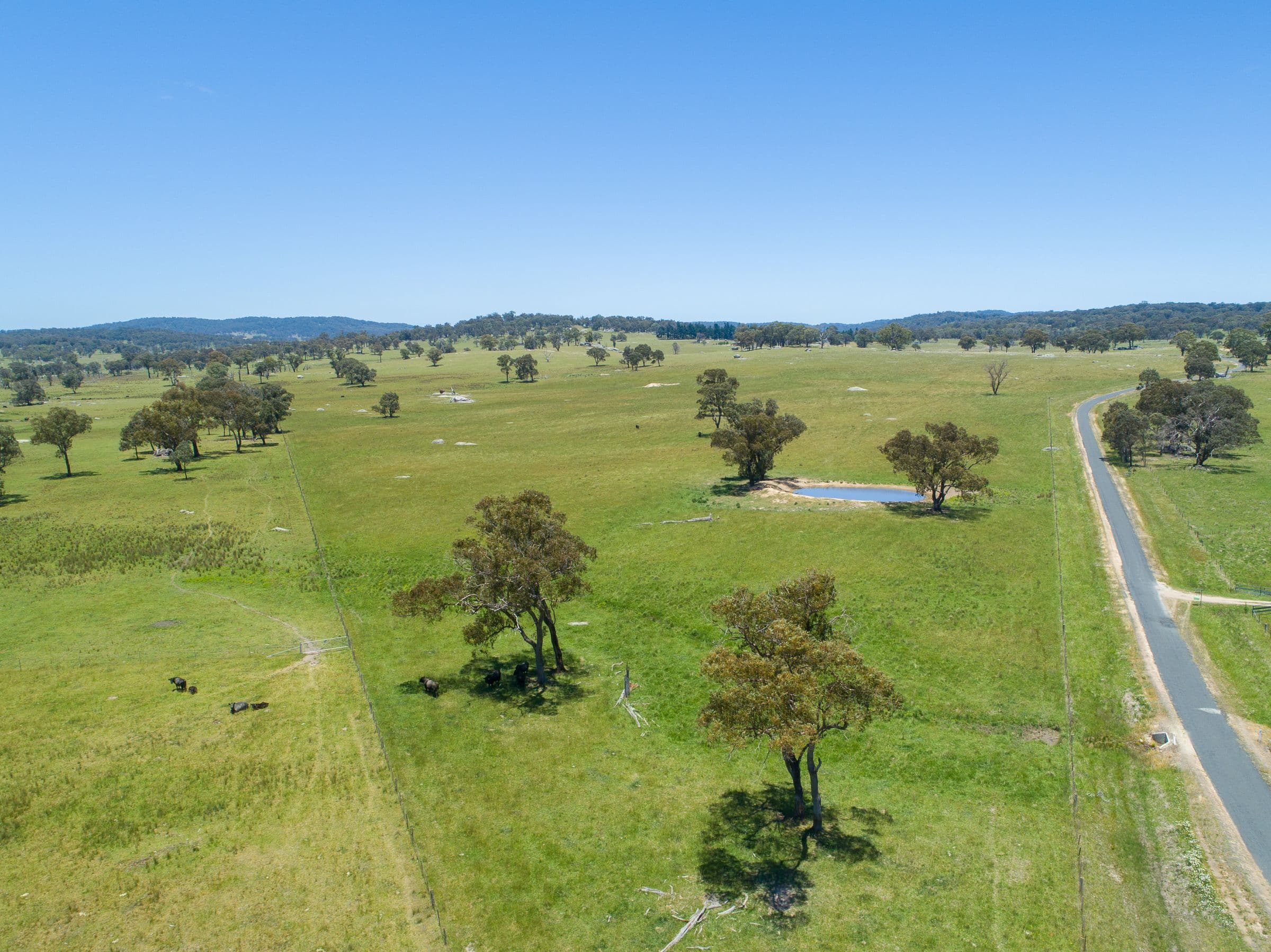 286 Mount Mitchell Road, Guyra NSW 2365, Guyra - Thumbnail 8