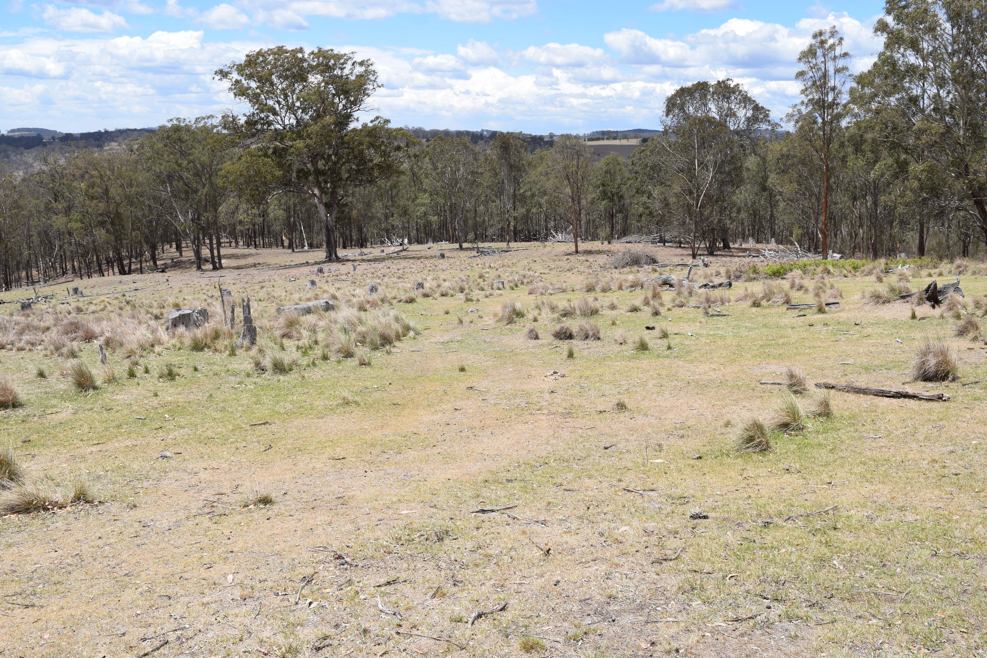 13419 Kempsey Road, Wollomombi NSW 2350, Wollomombi - Thumbnail 2