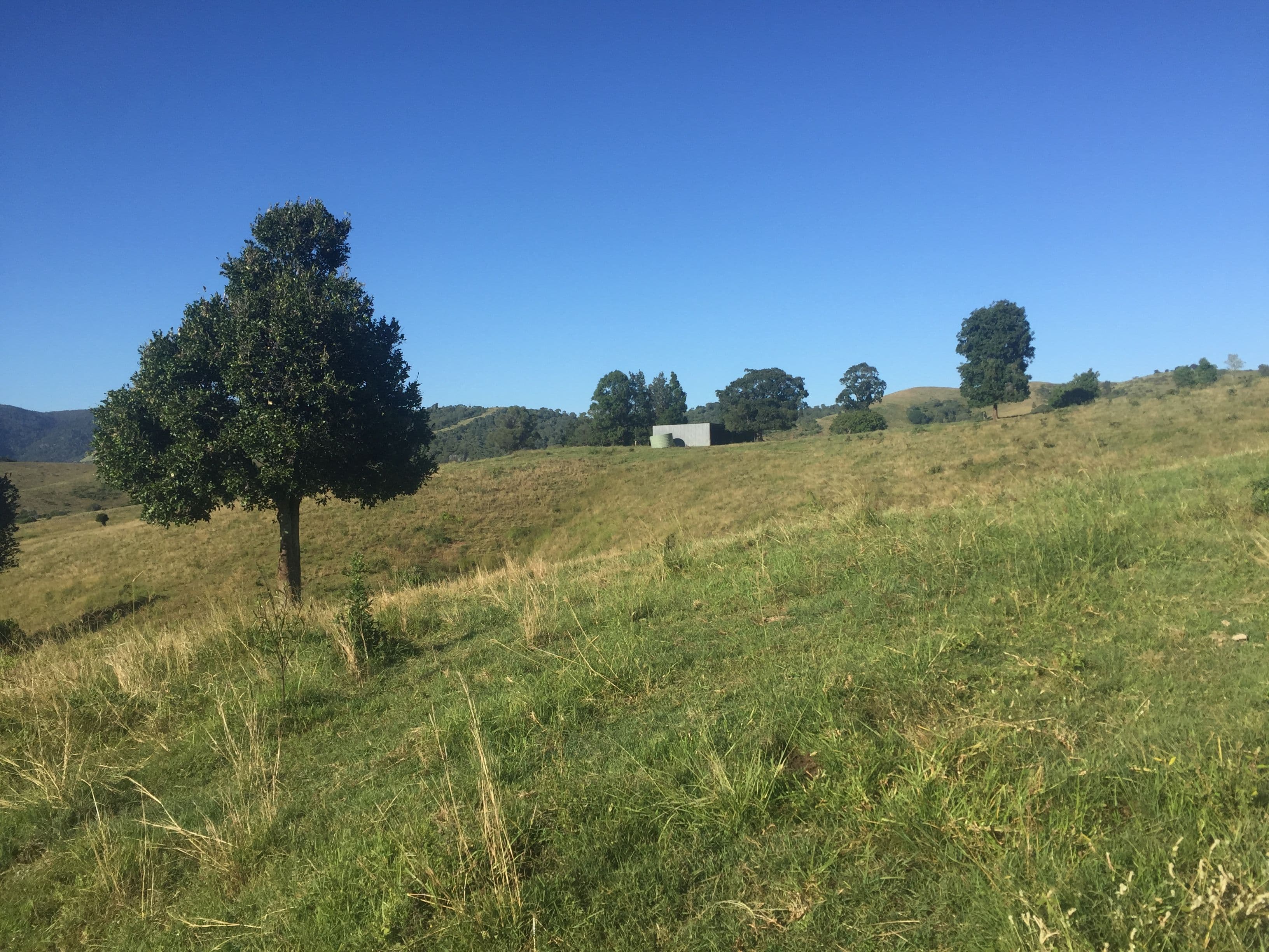 Lot 2 D'aguilar Highway, Sandy Creek QLD 4515, Sandy Creek - Thumbnail 4