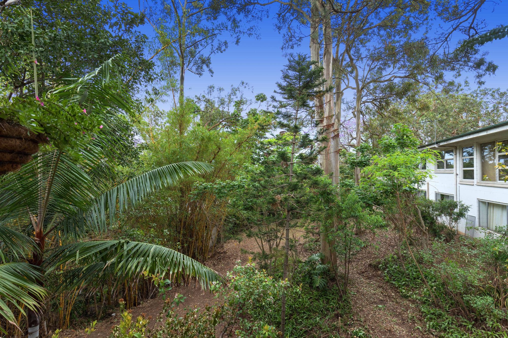 194 Jesmond Road, Indooroopilly QLD 4068, Indooroopilly - Thumbnail 6