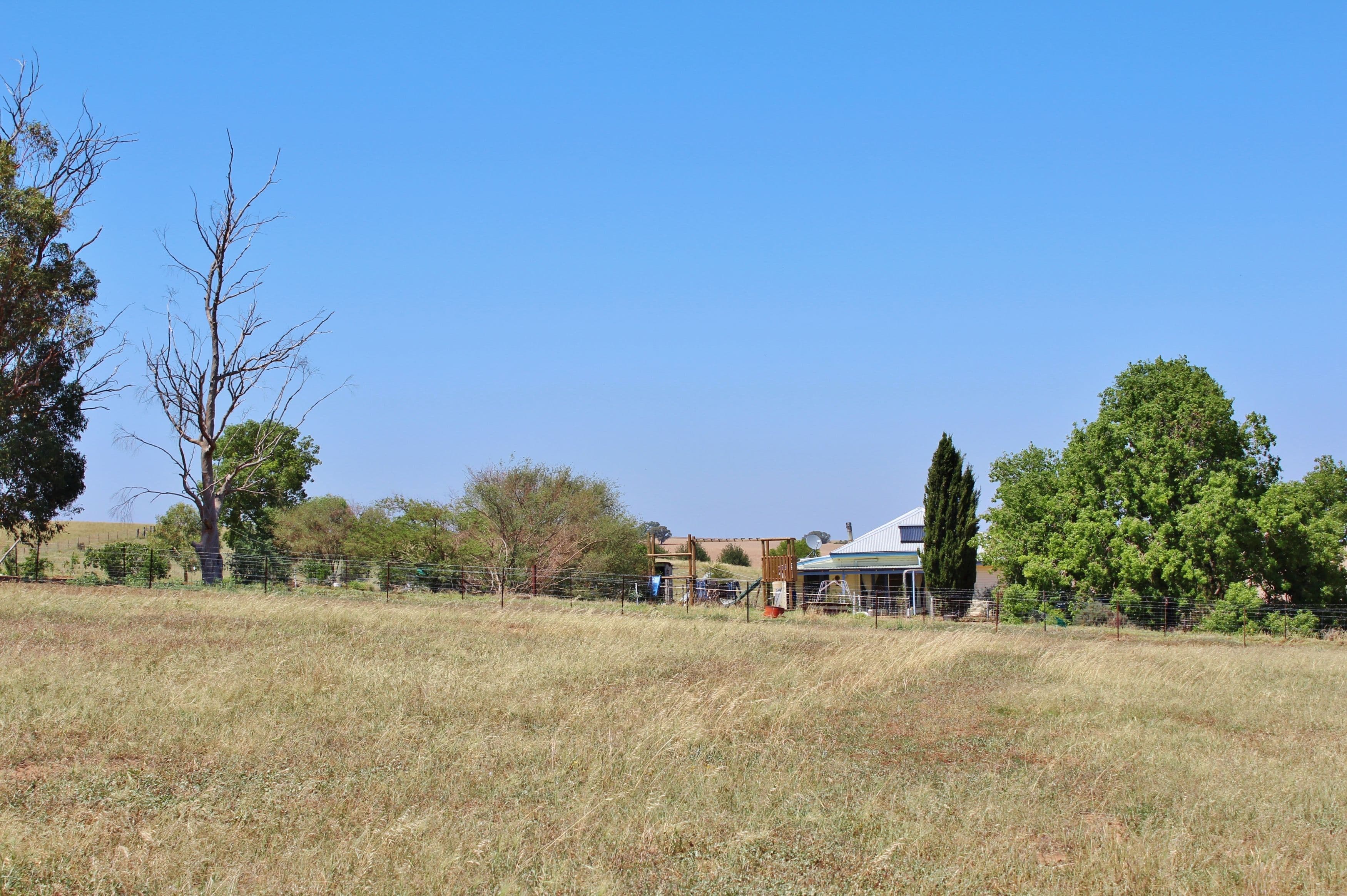 179 Wirrimah Road Greenethorpe, via, Young NSW 2594, Young - Thumbnail 3