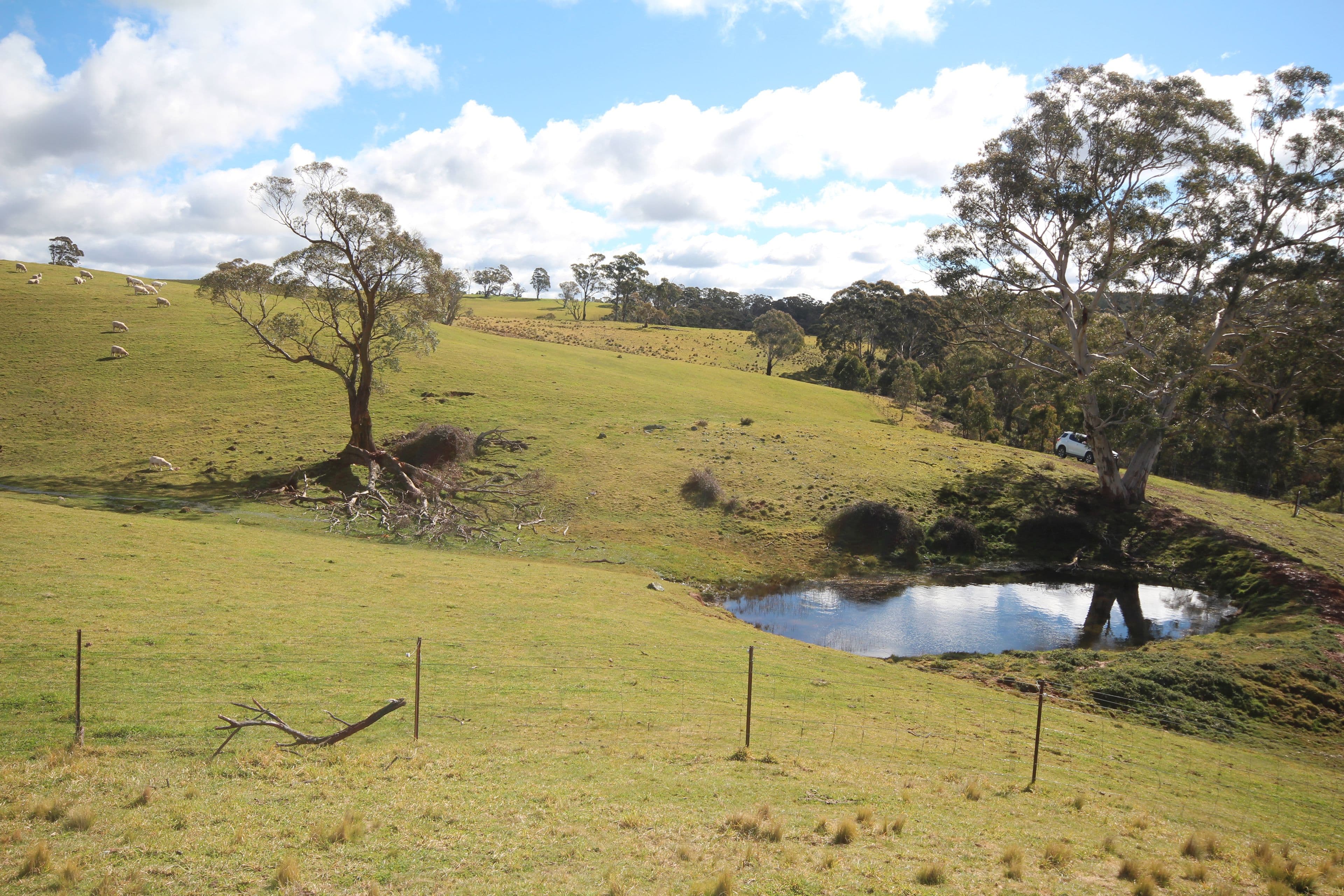 607 Jaunter Road, Oberon NSW 2787, Oberon - Thumbnail 4