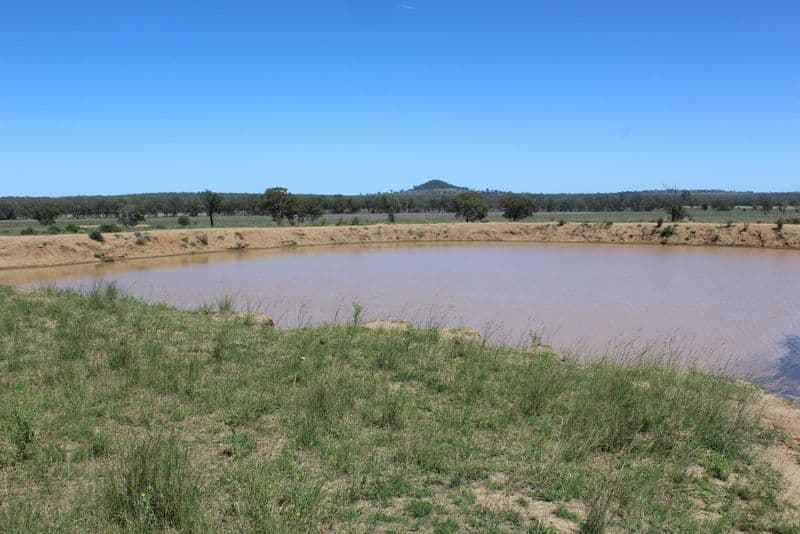 " Berrigal Farm", Bellata NSW 2397, Bellata - Thumbnail 5