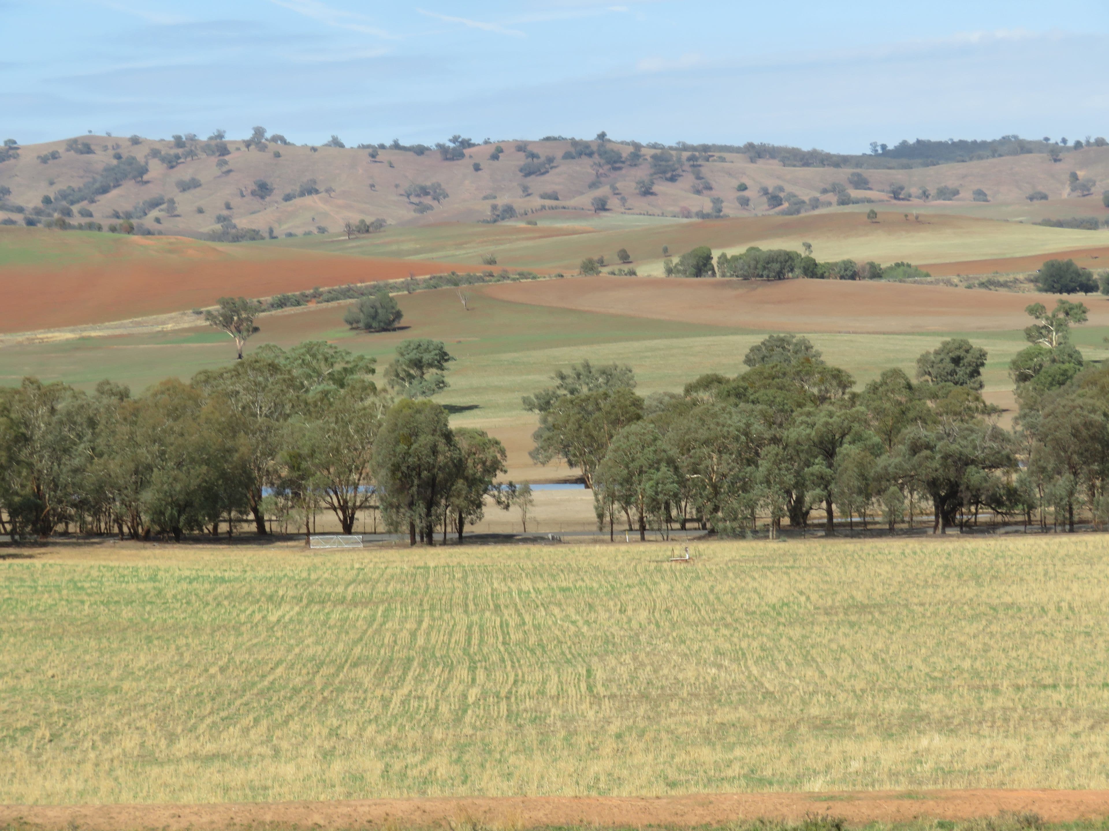 Lot 4 Old Hume Highway (Mundarlo Rd), Tumblong NSW 2729, Tumblong - Thumbnail 3
