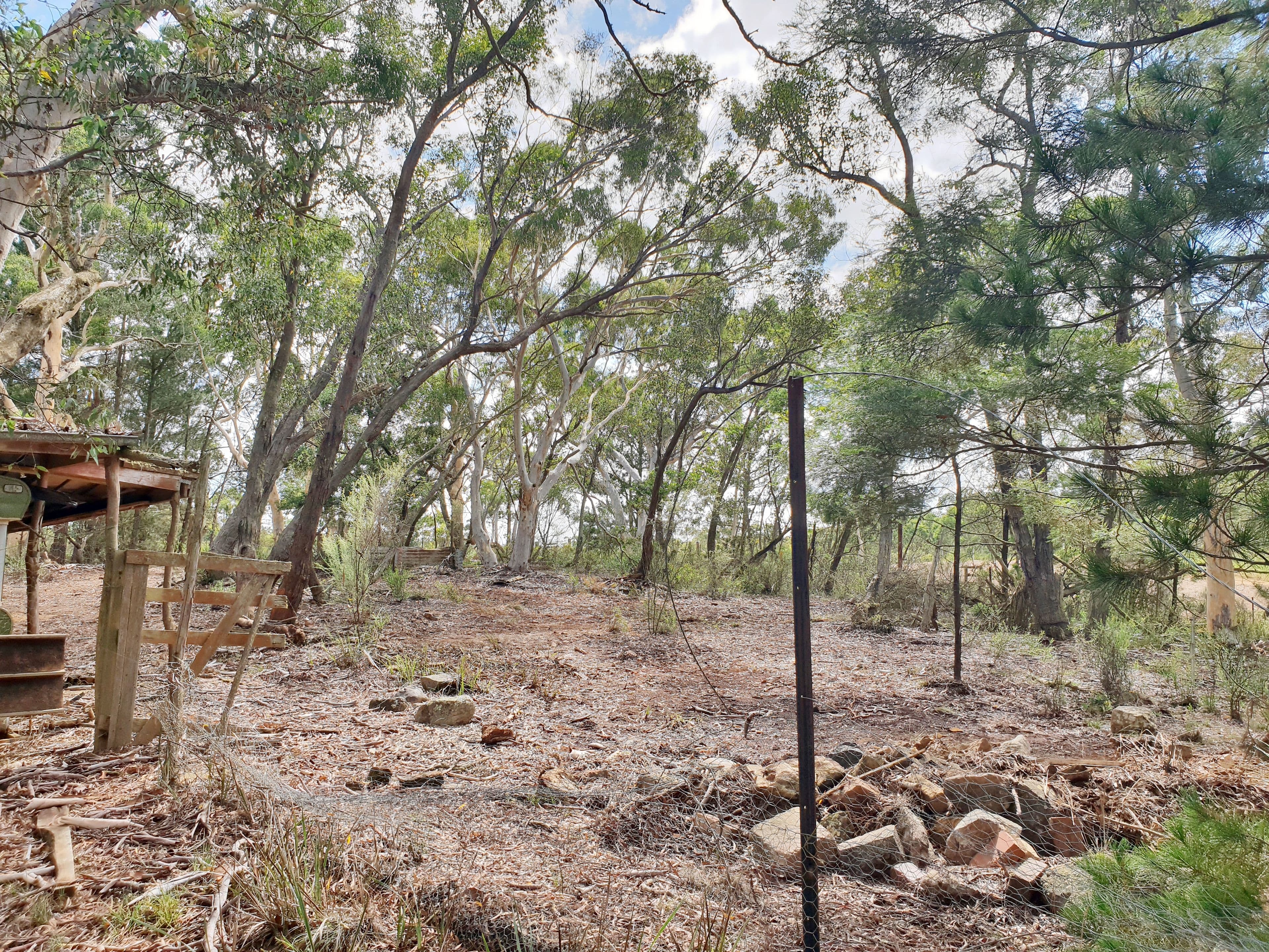 124 Nerriga Road, Braidwood NSW 2622, Braidwood - Thumbnail 5