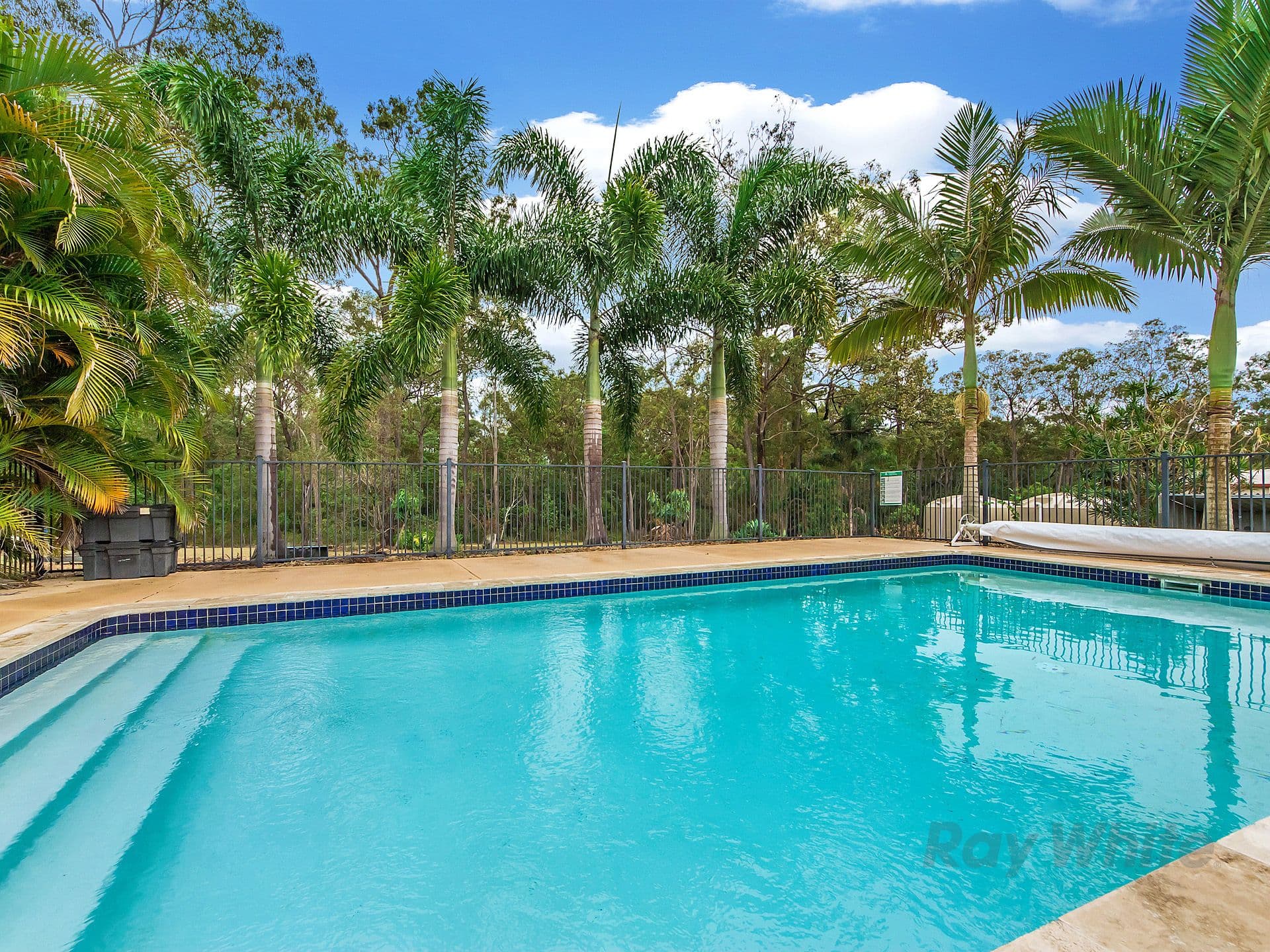 58 Pascoe Road, Ormeau QLD 4208, Ormeau - Thumbnail 3
