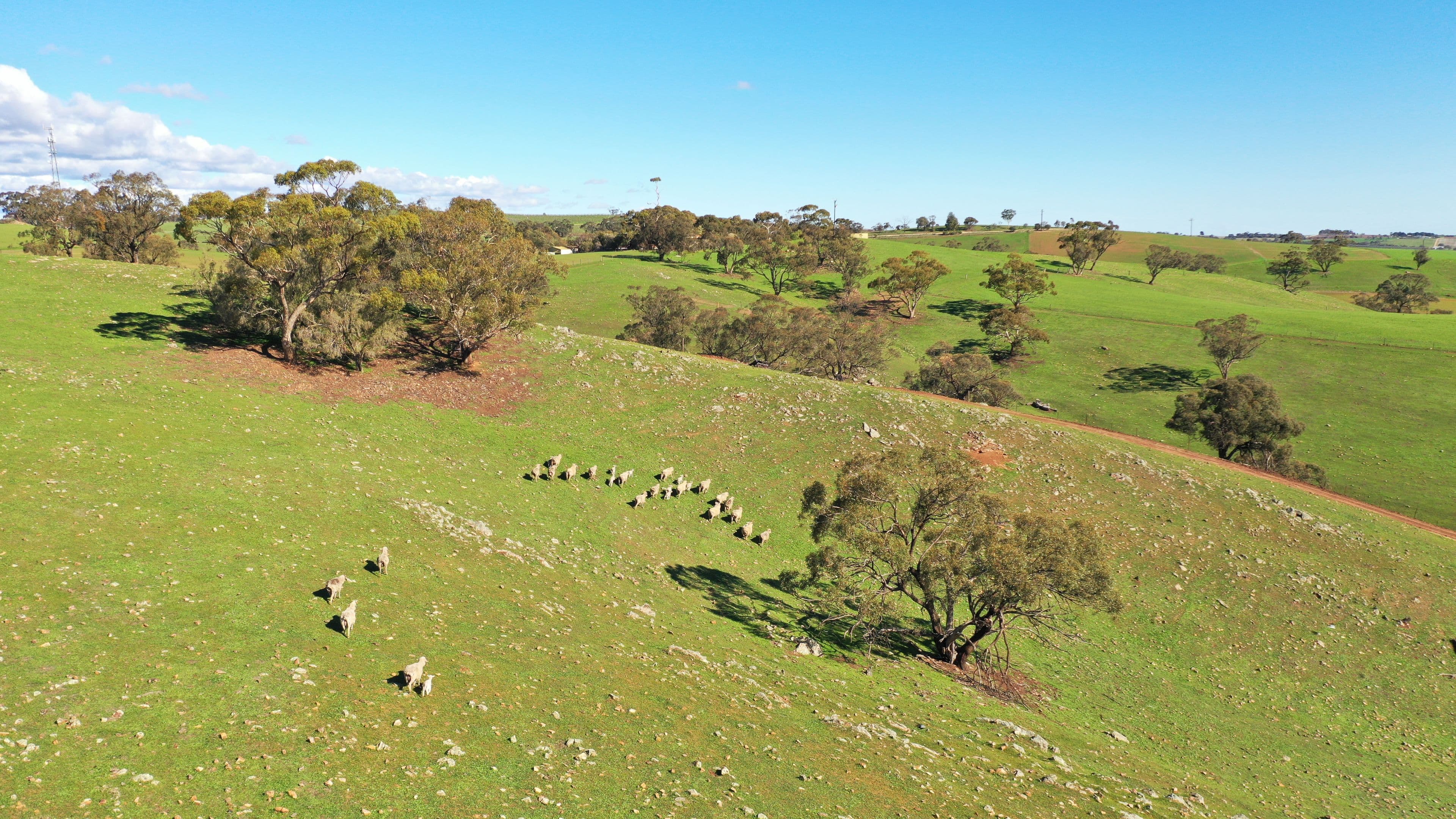 'Rosedale' - Lot 90 Rosedale Scenic Road, Lyndoch SA 5351, Lyndoch - Thumbnail 5