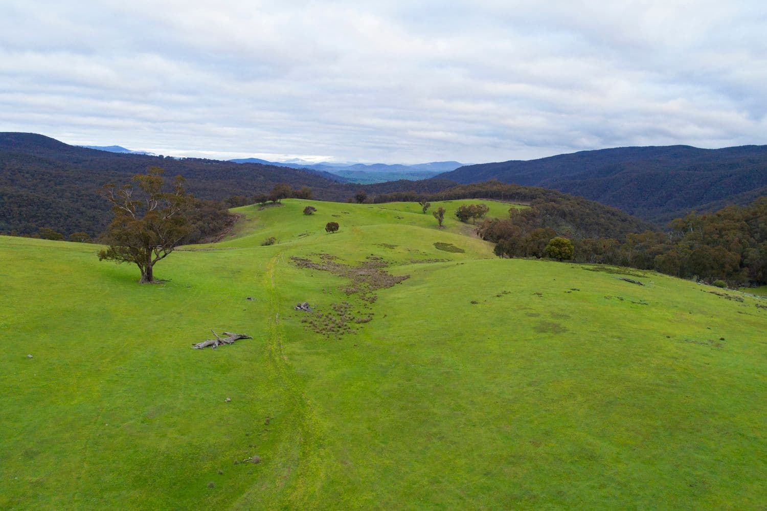 110 Tumbarumba Creek Road, Tumbarumba NSW 2653, Tumbarumba - Thumbnail 8