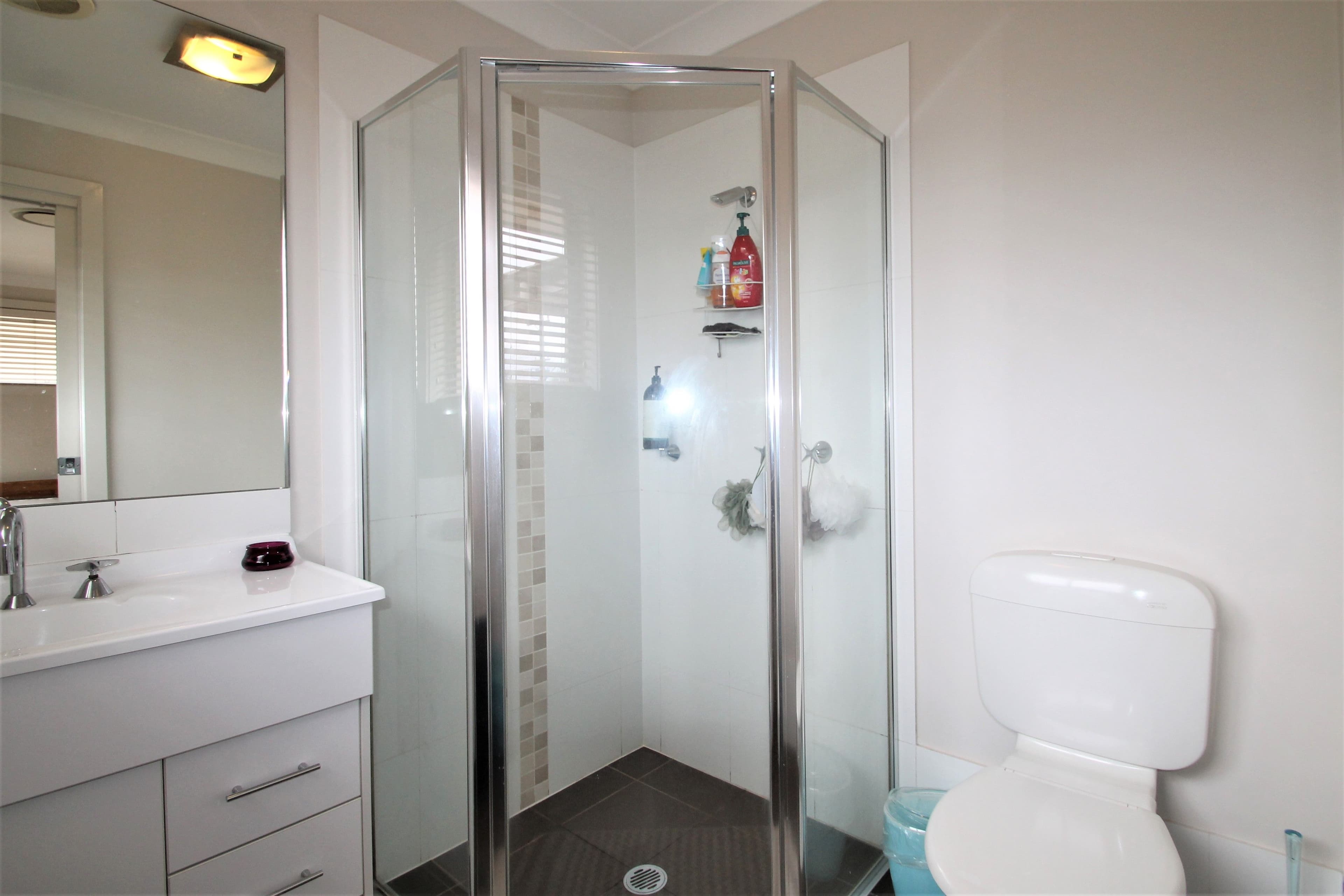 85a Park Road, Rydalmere NSW 2116, Rydalmere - Thumbnail 4