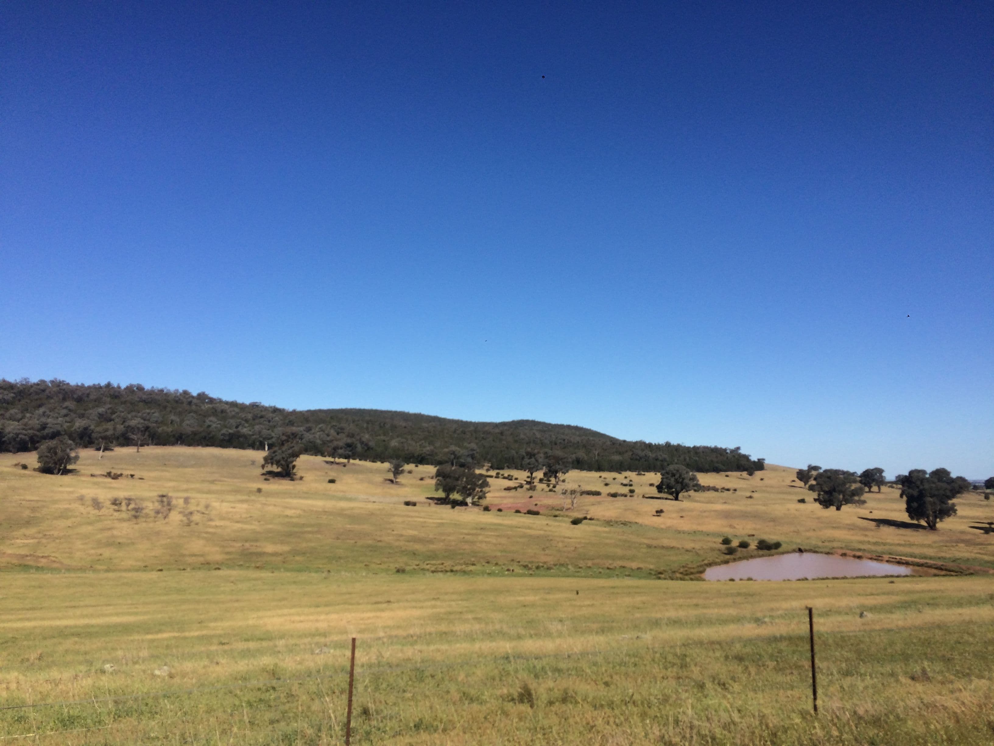 Lot 1 Fragar Road (Part 'Lowanna'), Cowra NSW 2794, Cowra - Thumbnail 2