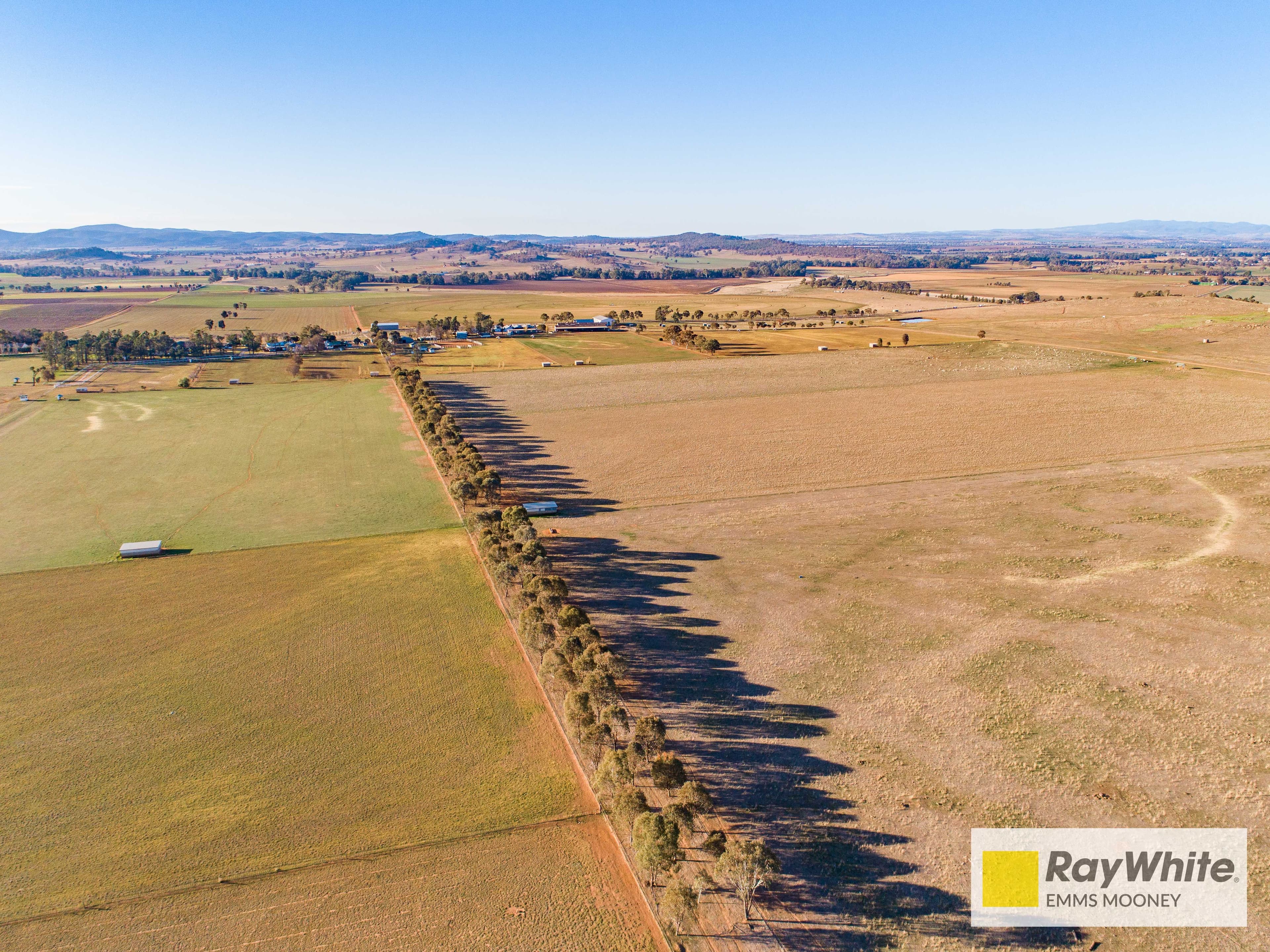 1203 Rivers Road, Canowindra NSW 2804, Canowindra - Image 1