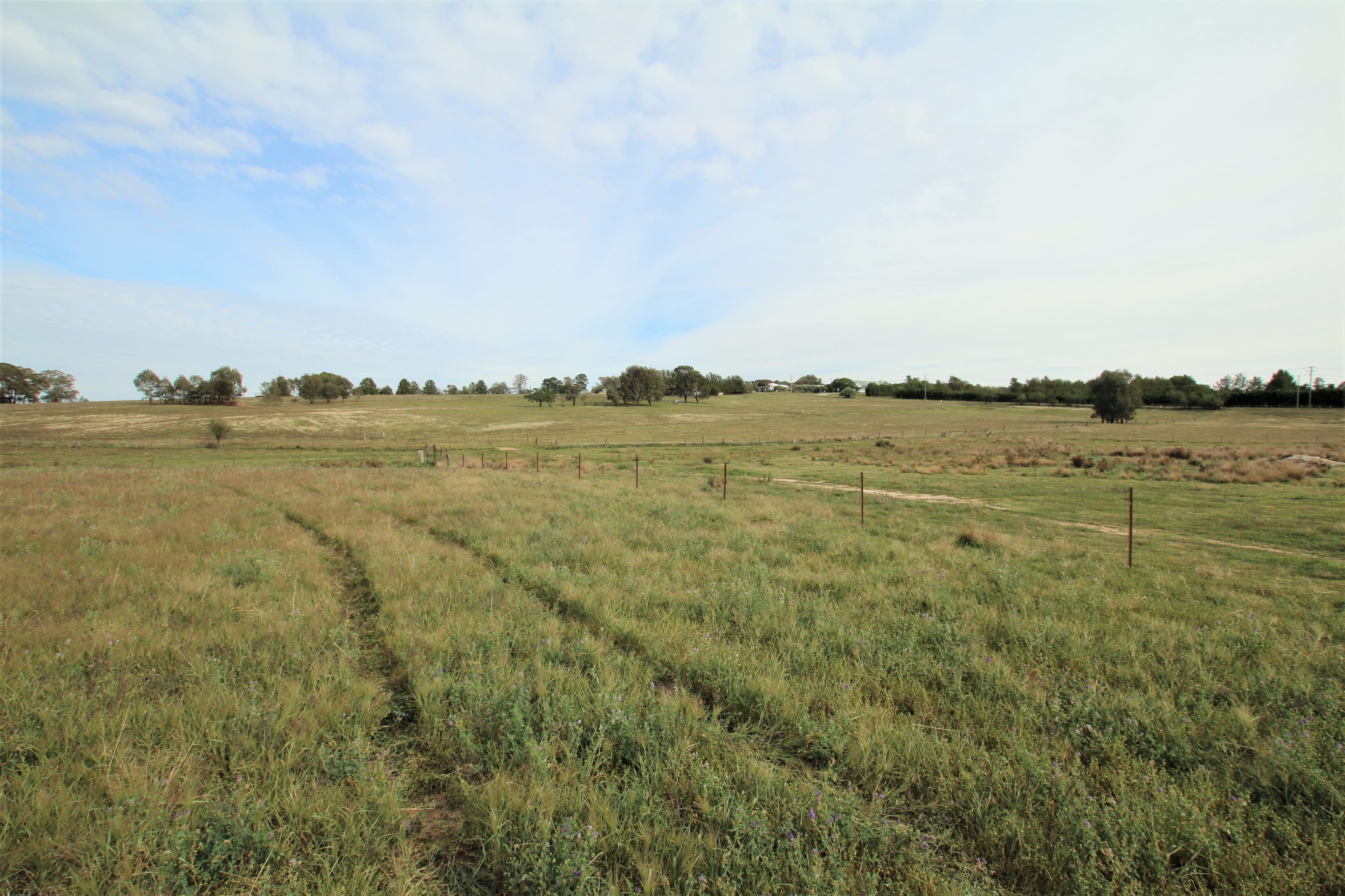 93 Prunevale Road Kingsvale, Young NSW 2594, Young - Thumbnail 8