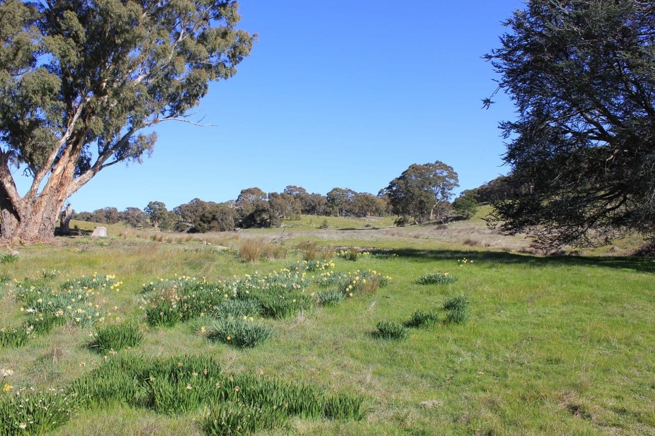 Tooborac VIC 3522, Tooborac - Image 1