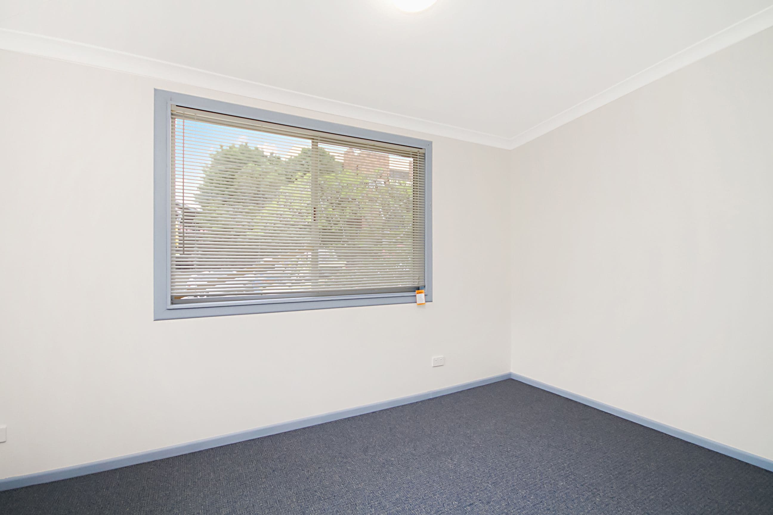 37 Mooball Street, Murwillumbah NSW 2484, Murwillumbah - Thumbnail 7