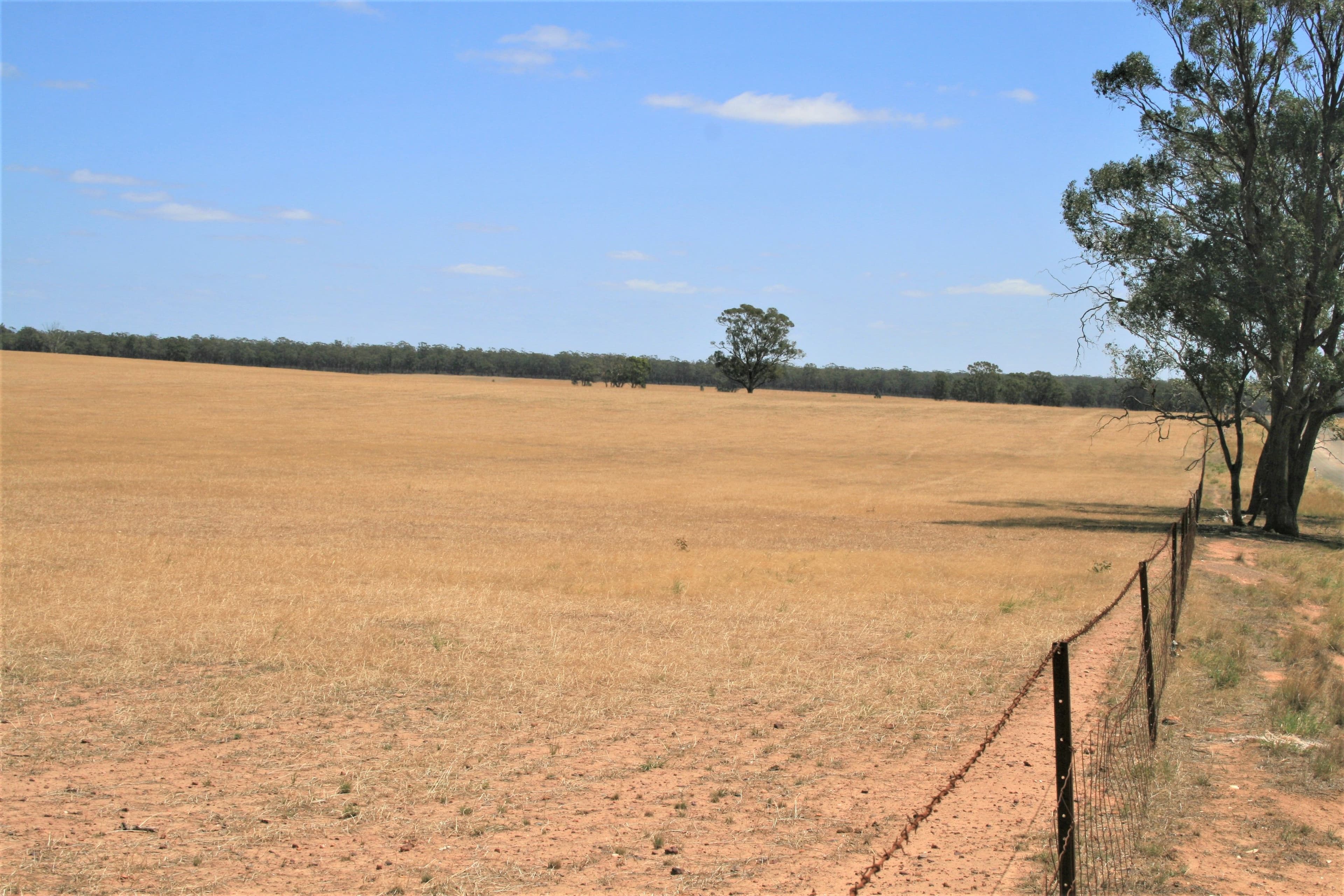 CA28 Avonmore-Mayreef Road (Lot 1 and Lot 2), KAMAROOKA VIC 3570, Kamarooka - Thumbnail 4