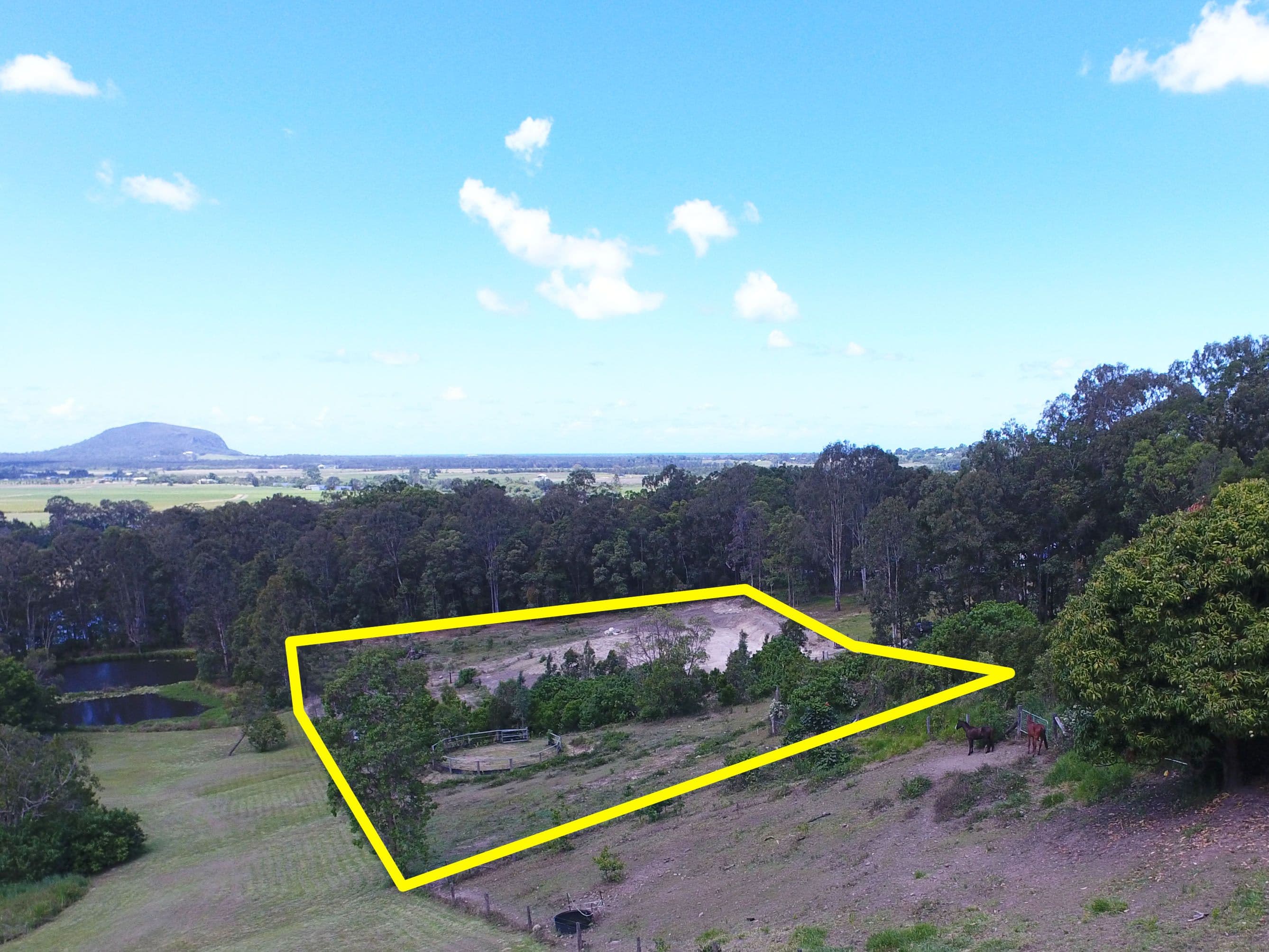 41A Tamin Place, Maroochy River QLD 4561, Maroochy River - Thumbnail 3