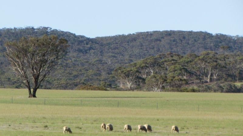 Lot 2 South Coast Highway, Ravensthorpe WA 6346, Ravensthorpe - Thumbnail 4