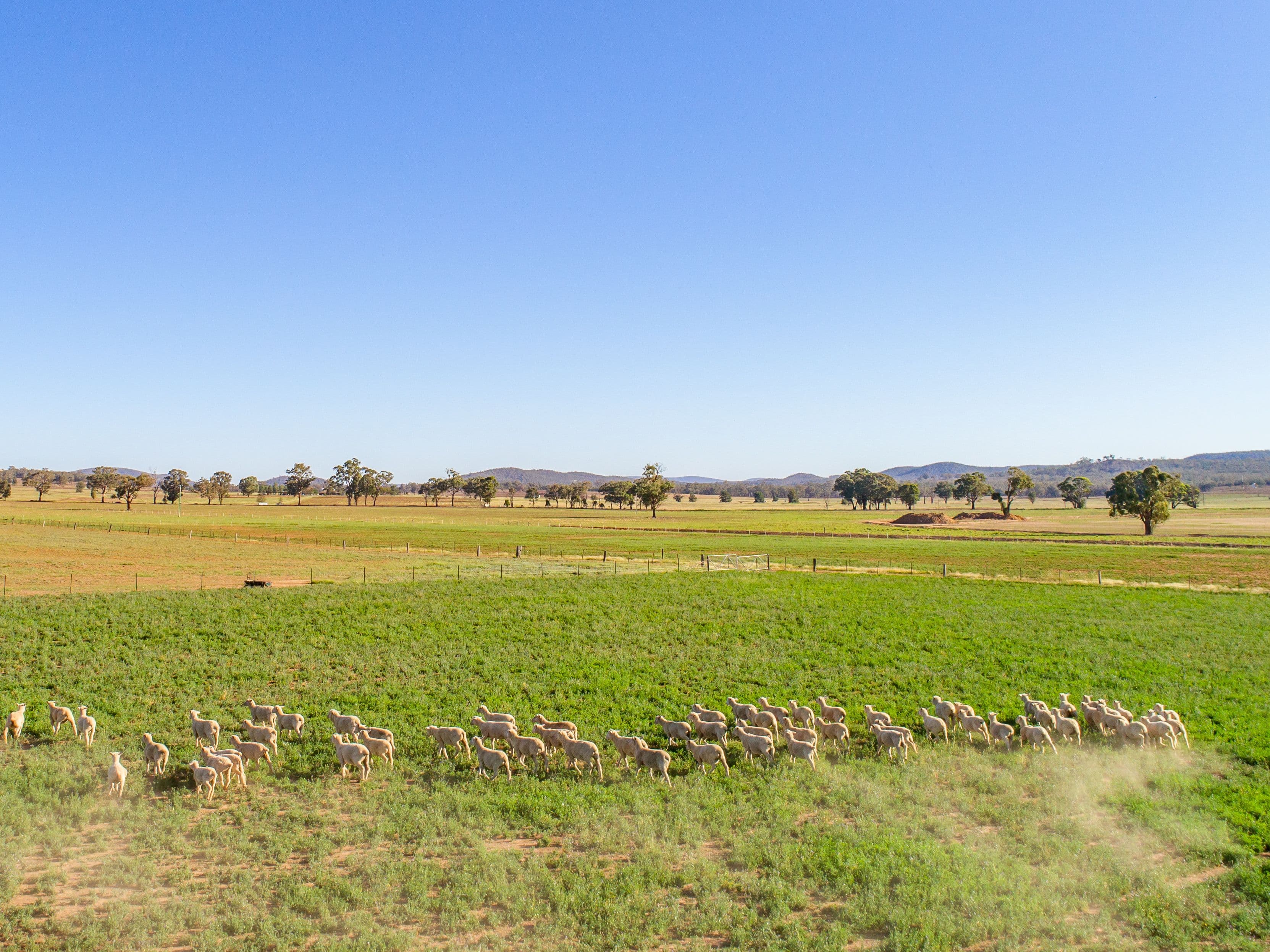 2789 Lachlan Valley Way, Gooloogong NSW 2805, Gooloogong - Thumbnail 2