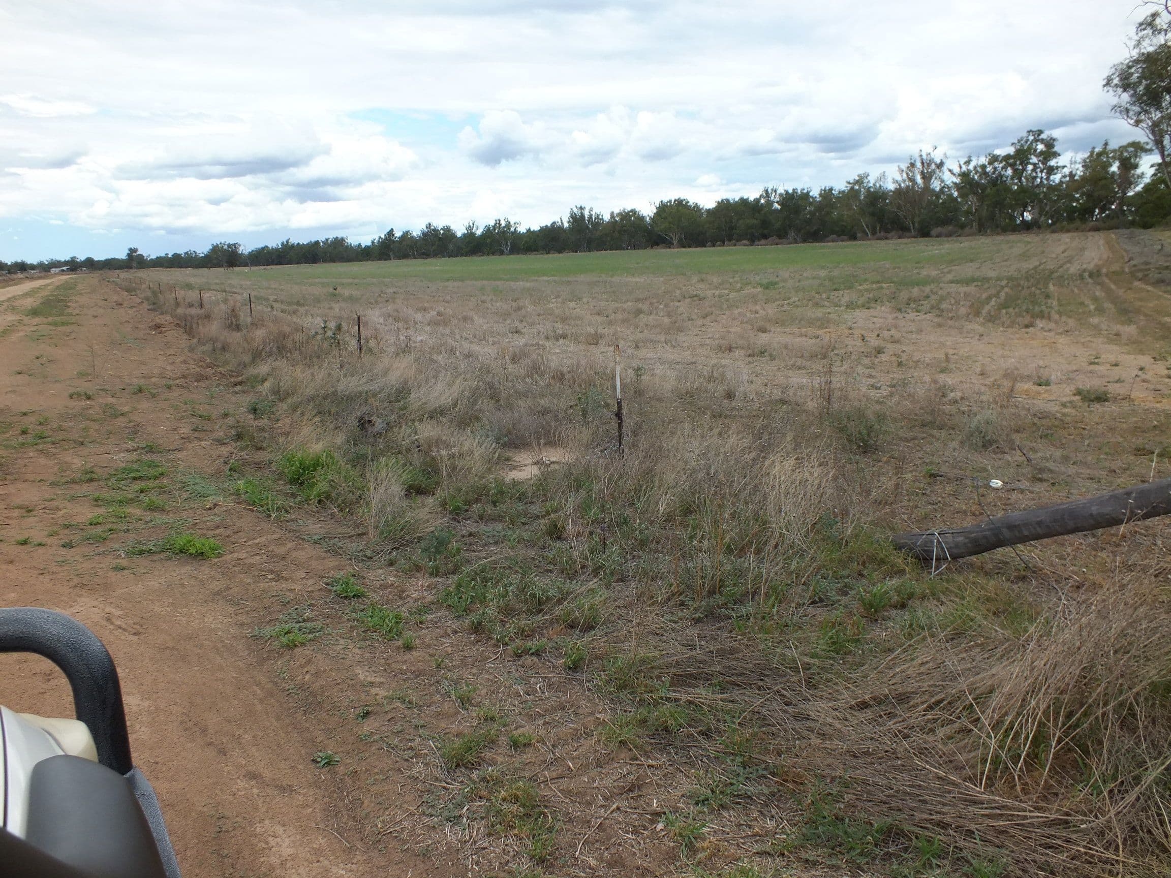 154 Potters Road, Inglewood QLD 4387, Inglewood - Thumbnail 4