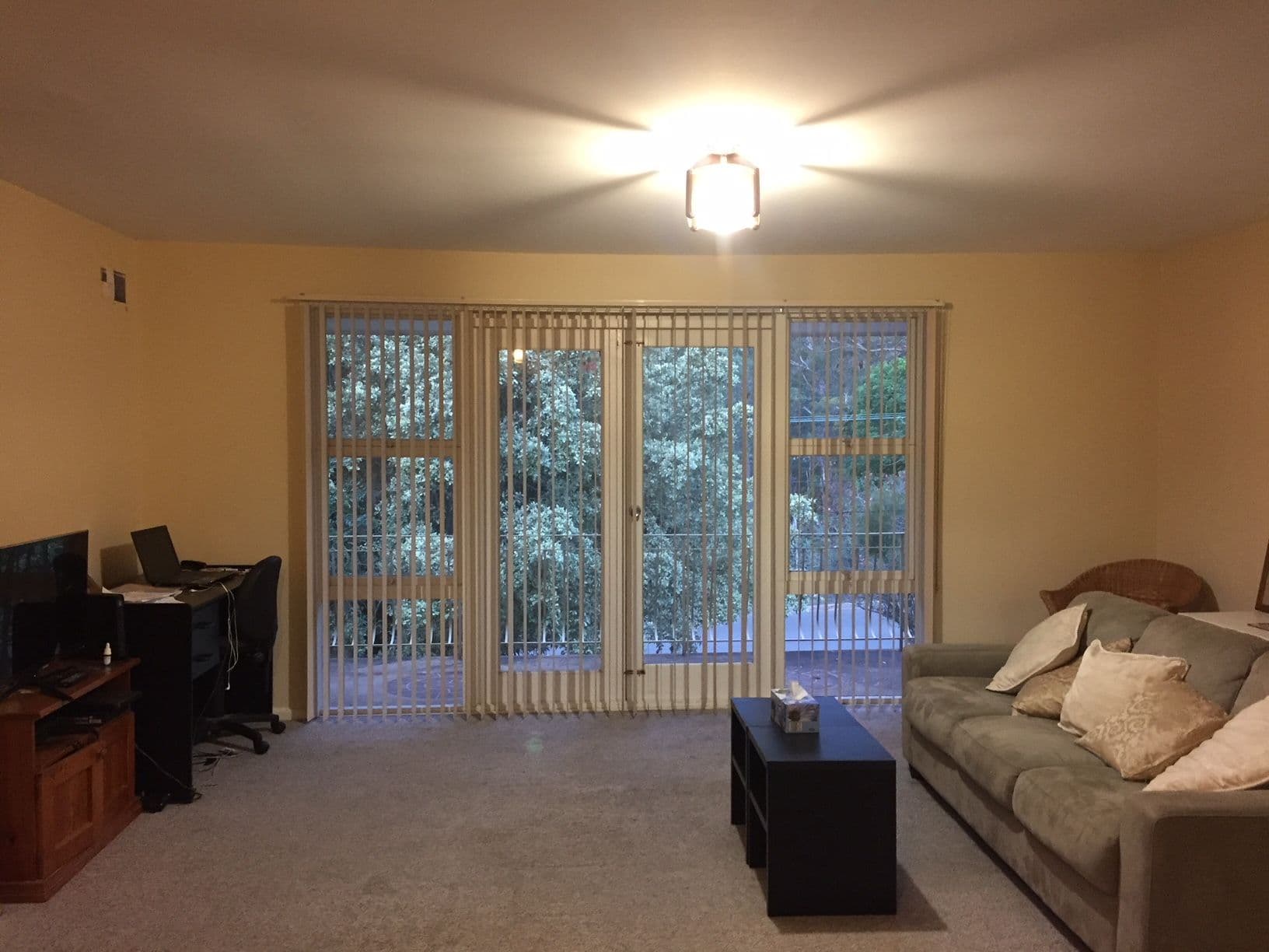 1/31 Rabbett Street,, Frenchs Forest NSW 2086, Frenchs Forest - Image 1