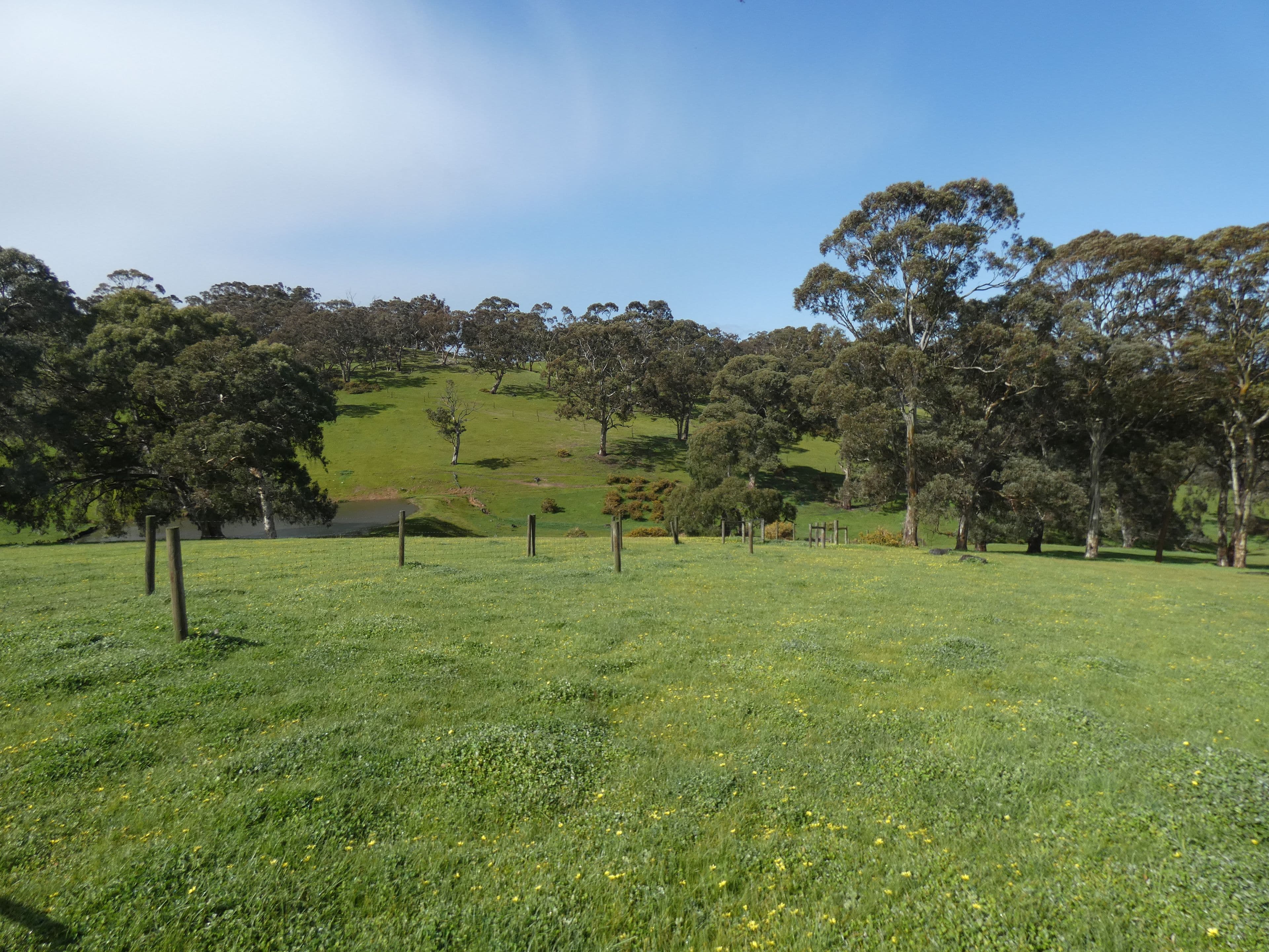 66 Nestor Road, Macclesfield SA 5153, Macclesfield - Thumbnail 8