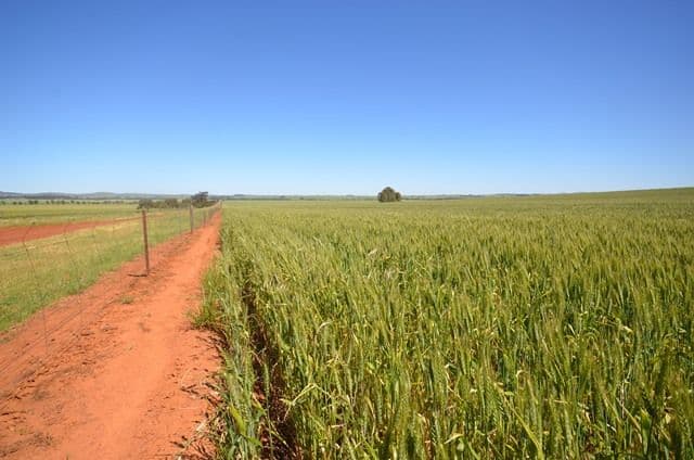 Lots 21-25 94 Sod Hut Road, Farrell Flat SA 5416, Farrell Flat - Thumbnail 3