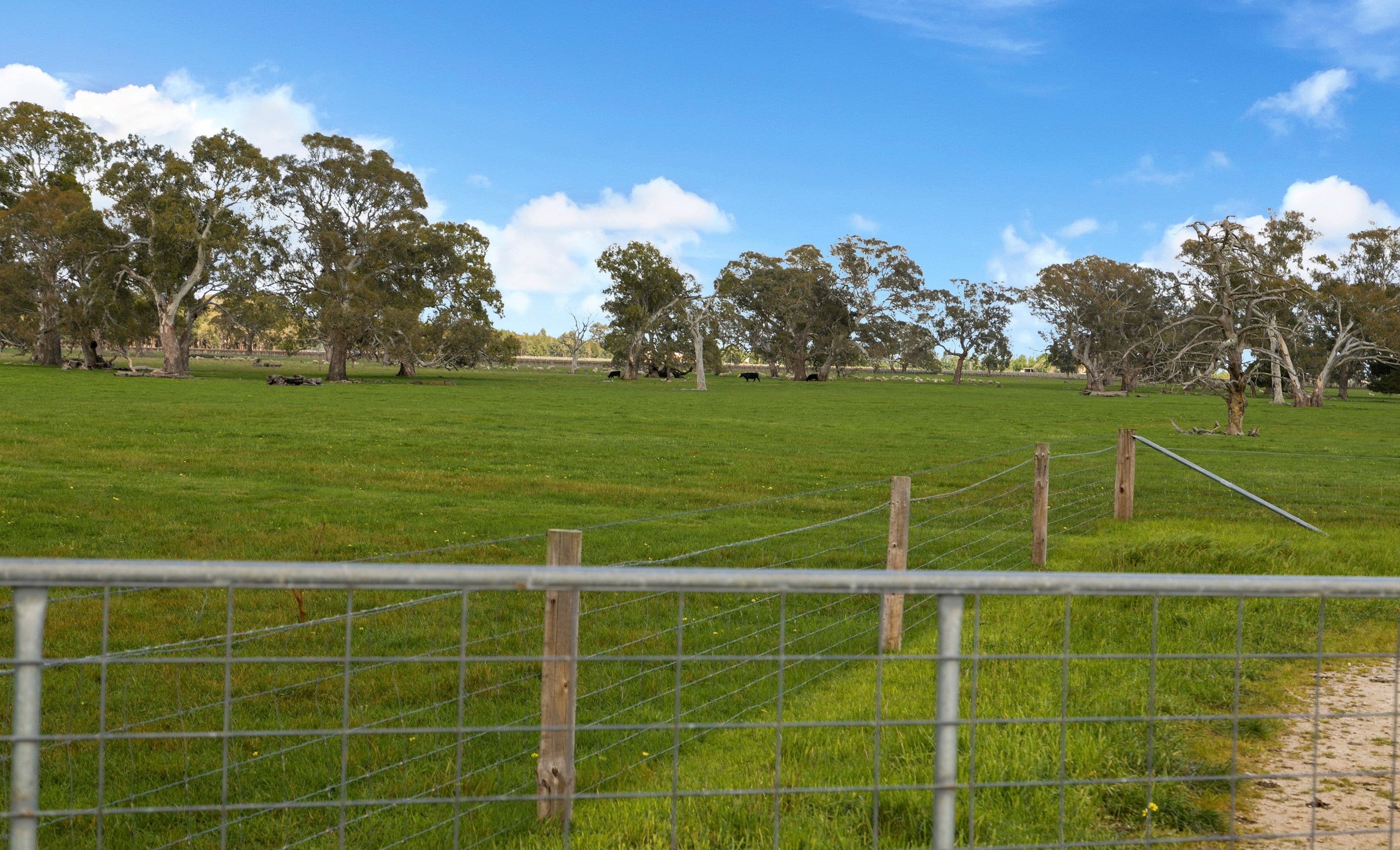 Lot 4 Richardson Road, Coonawarra SA 5263, Coonawarra - Thumbnail 8