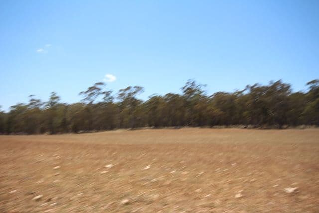 951 Campbells River Road, Isabella NSW 2795, Isabella - Thumbnail 3