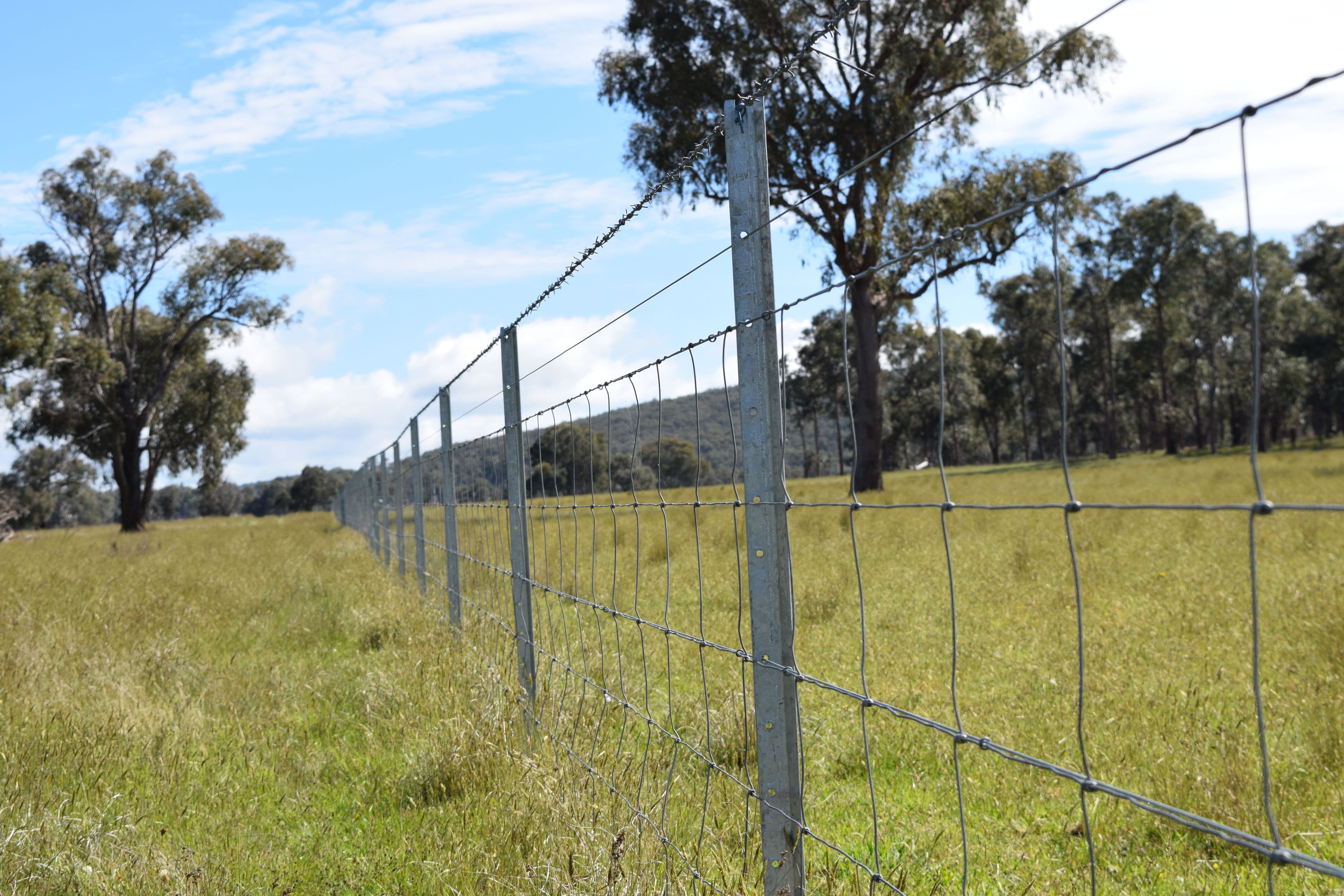 Glenfield Nth 305 Loxton Road, Wandsworth NSW 2365, Wandsworth - Thumbnail 5