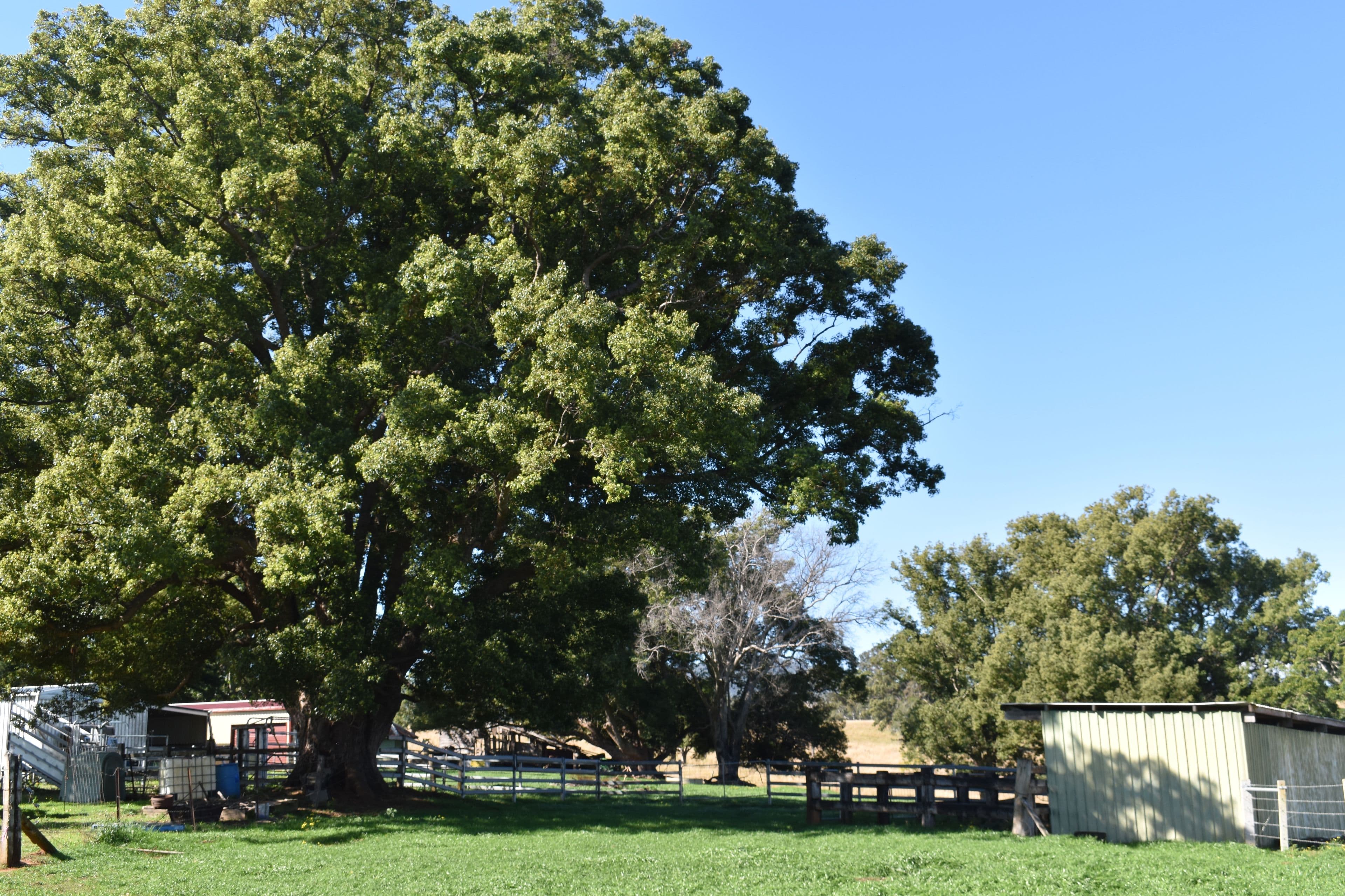 13150 Summerland Way, Kyogle NSW 2474, Kyogle - Thumbnail 2