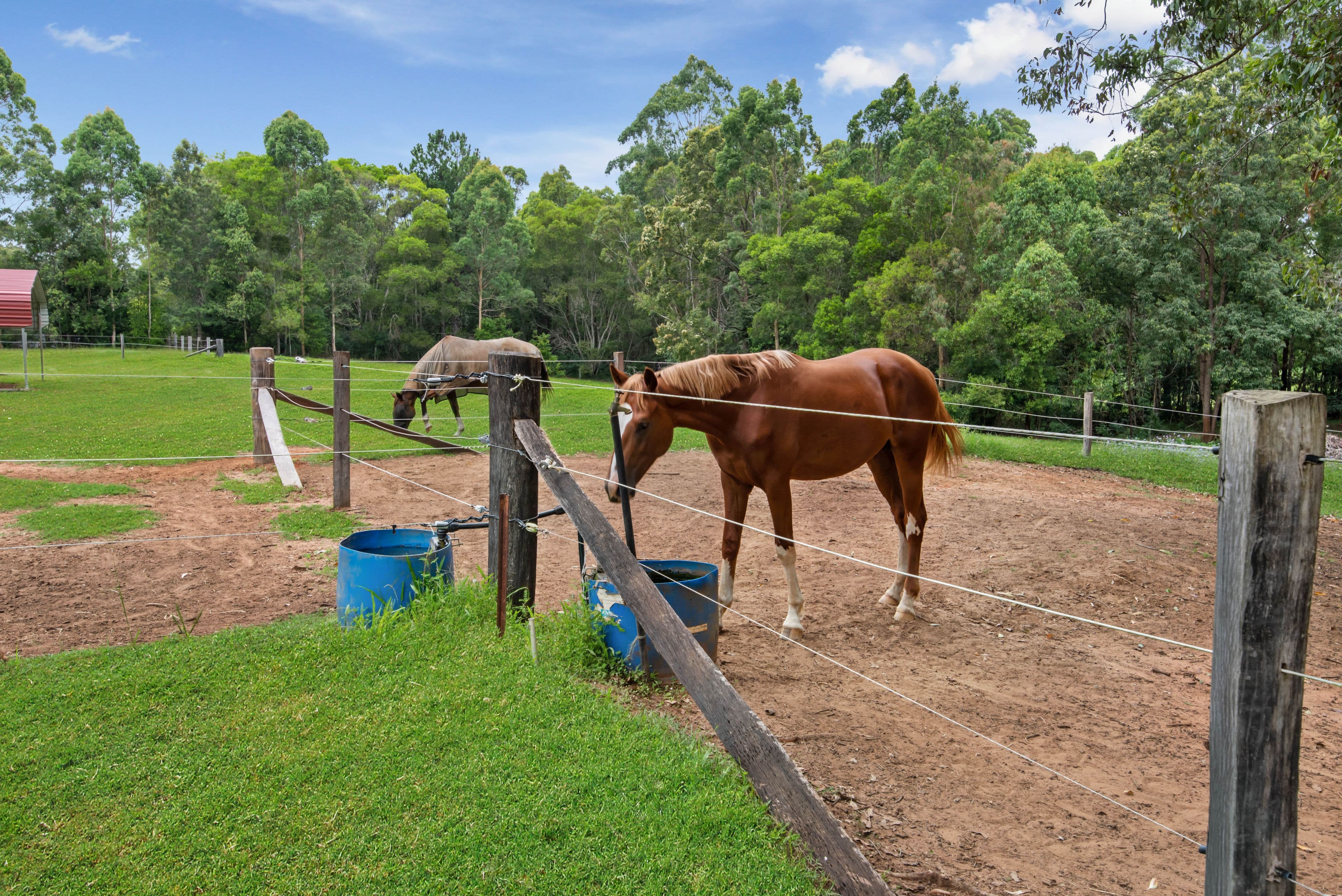 100 Harold Place, Peachester QLD 4519, Peachester - Thumbnail 2