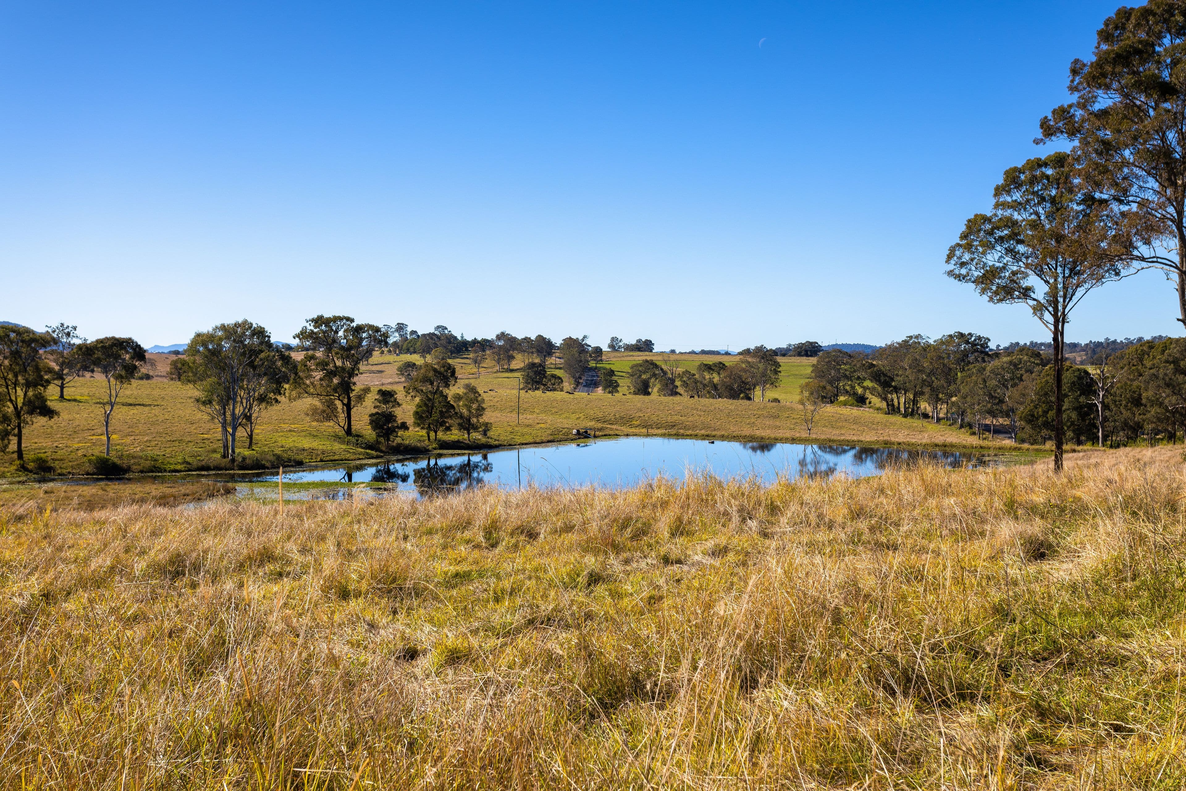 58 Nowendoc Road, Killawarra NSW 2429, Killawarra - Image 1