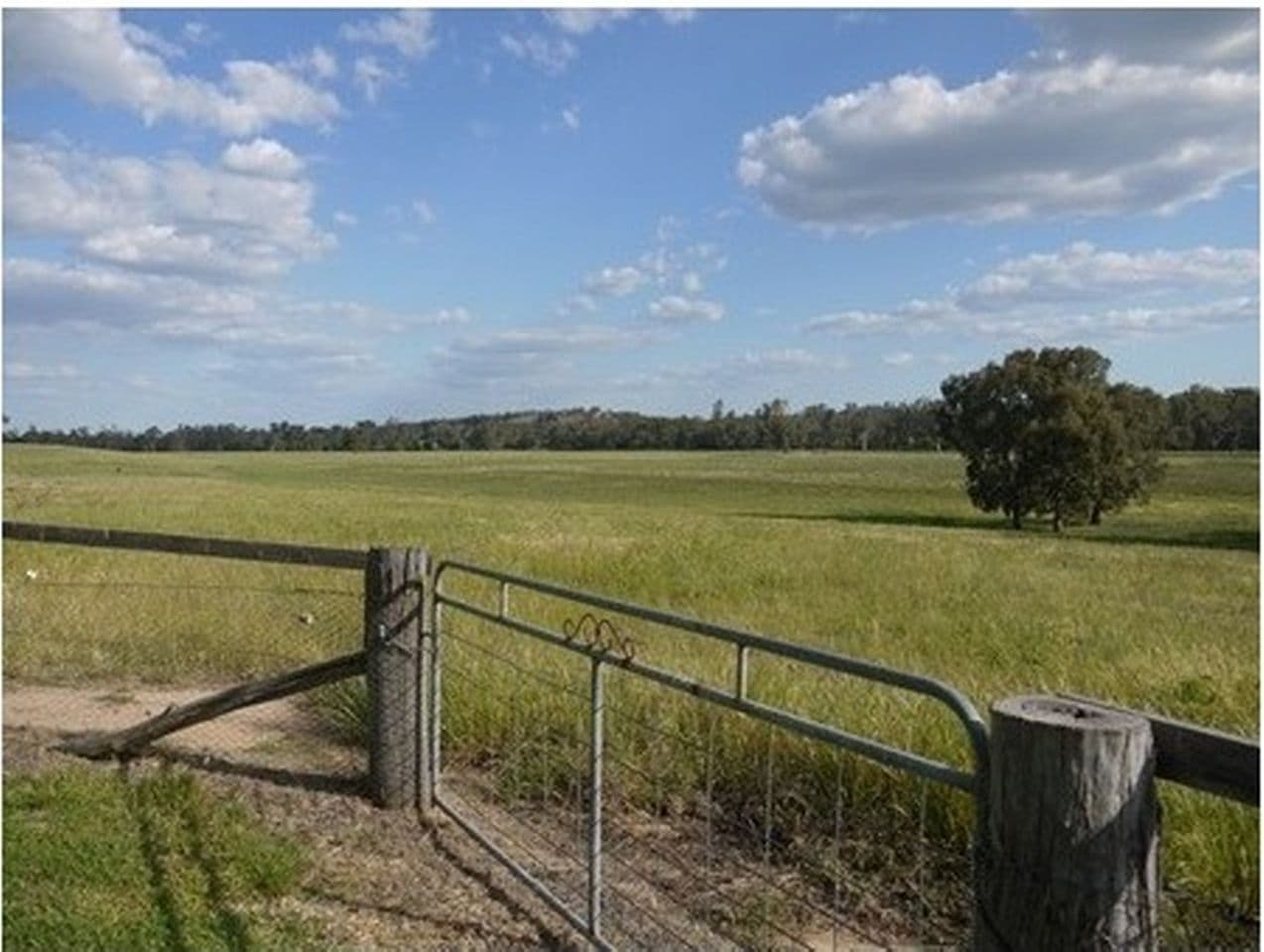Canowindra NSW 2804, Canowindra - Thumbnail 8
