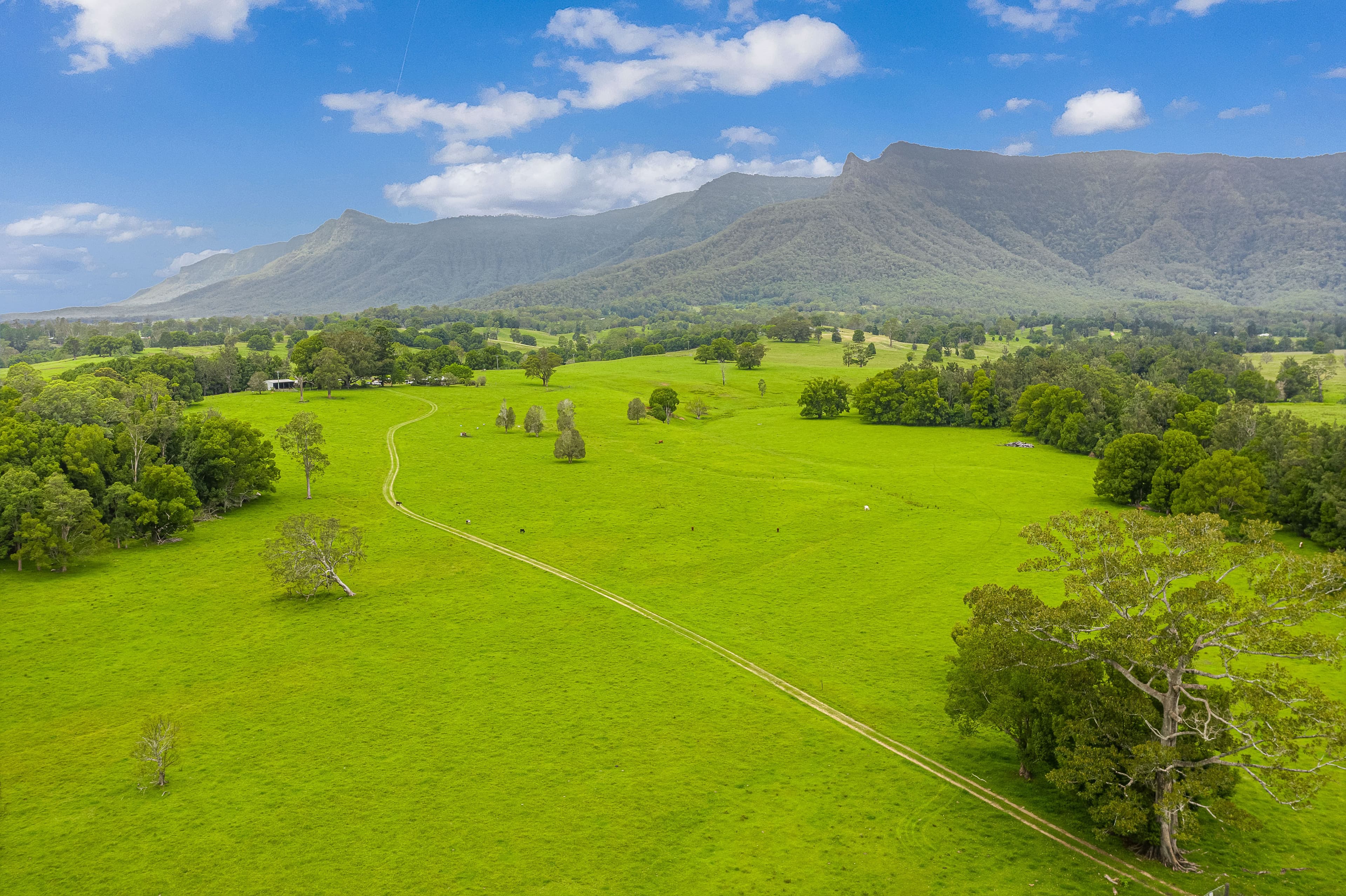 52 Kerrs Lane, Pumpenbil NSW 2484, Pumpenbil - Image 1