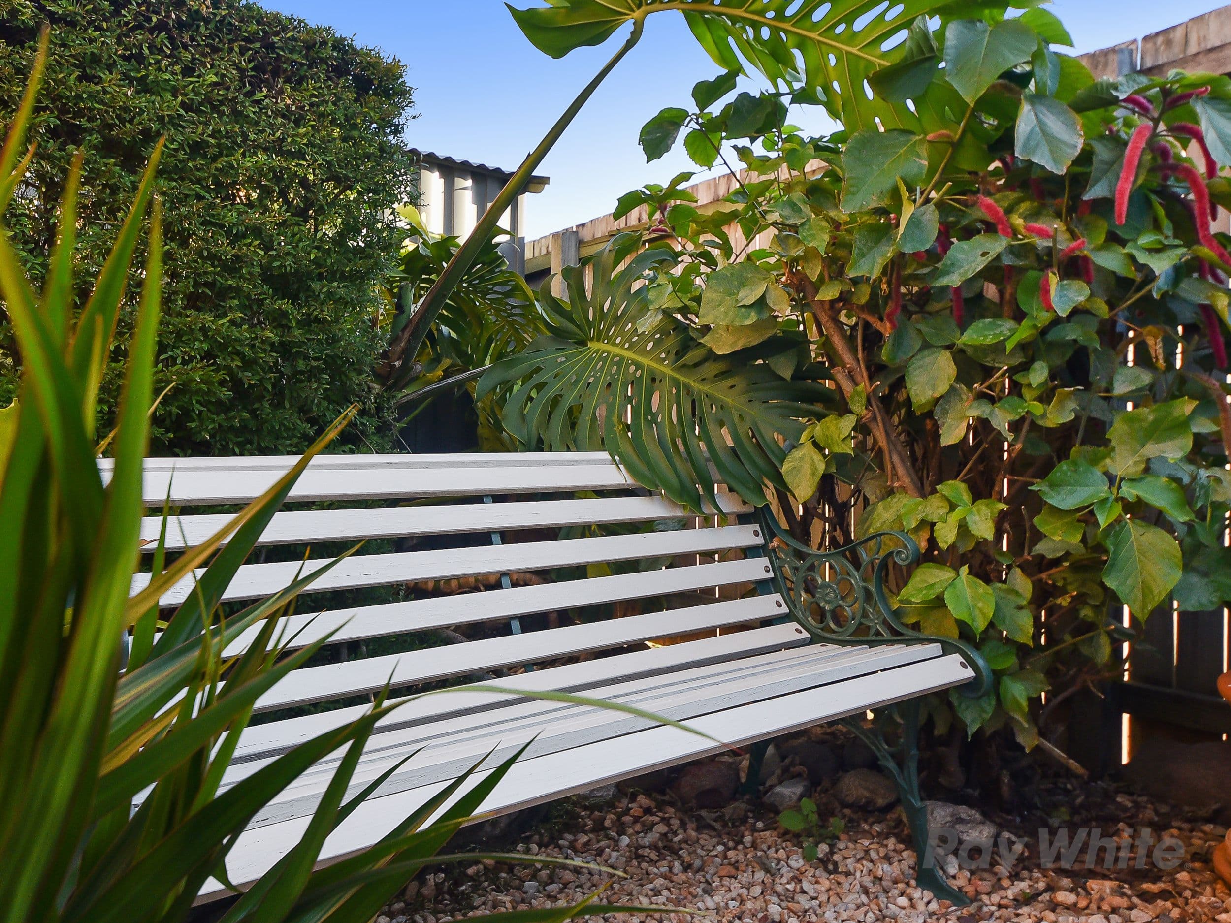 3 Killare Street, Bracken Ridge QLD 4017, Bracken Ridge - Thumbnail 7